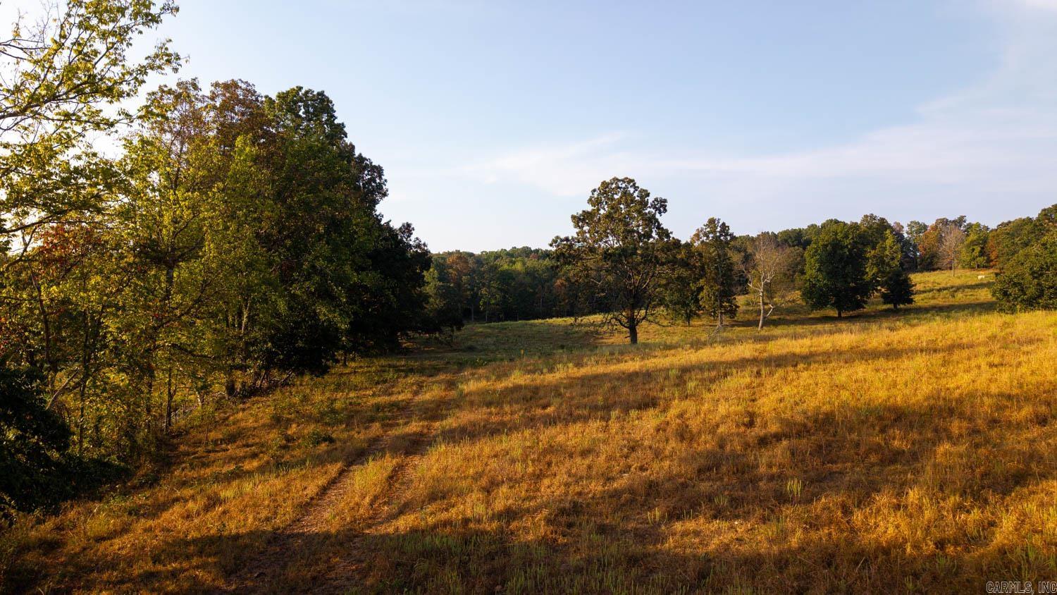 Photo 7 - Vacant Land for sale – 000  Bamber Road   Mammoth Spring, AR