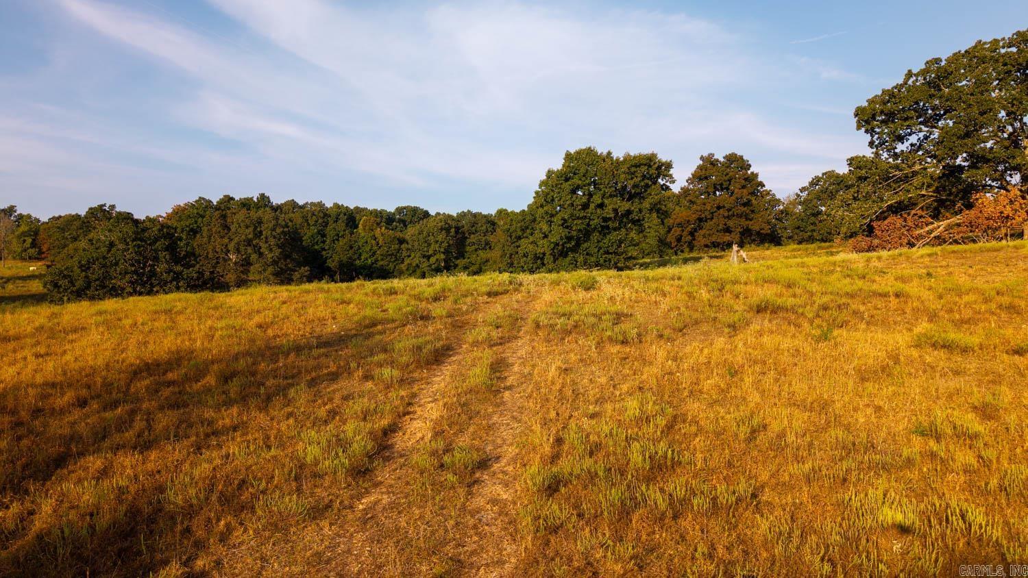 Photo 8 - Vacant Land for sale – 000  Bamber Road   Mammoth Spring, AR