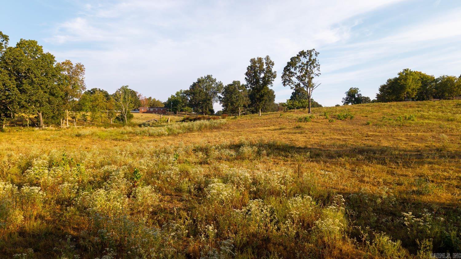 Photo 9 - Vacant Land for sale – 000  Bamber Road   Mammoth Spring, AR
