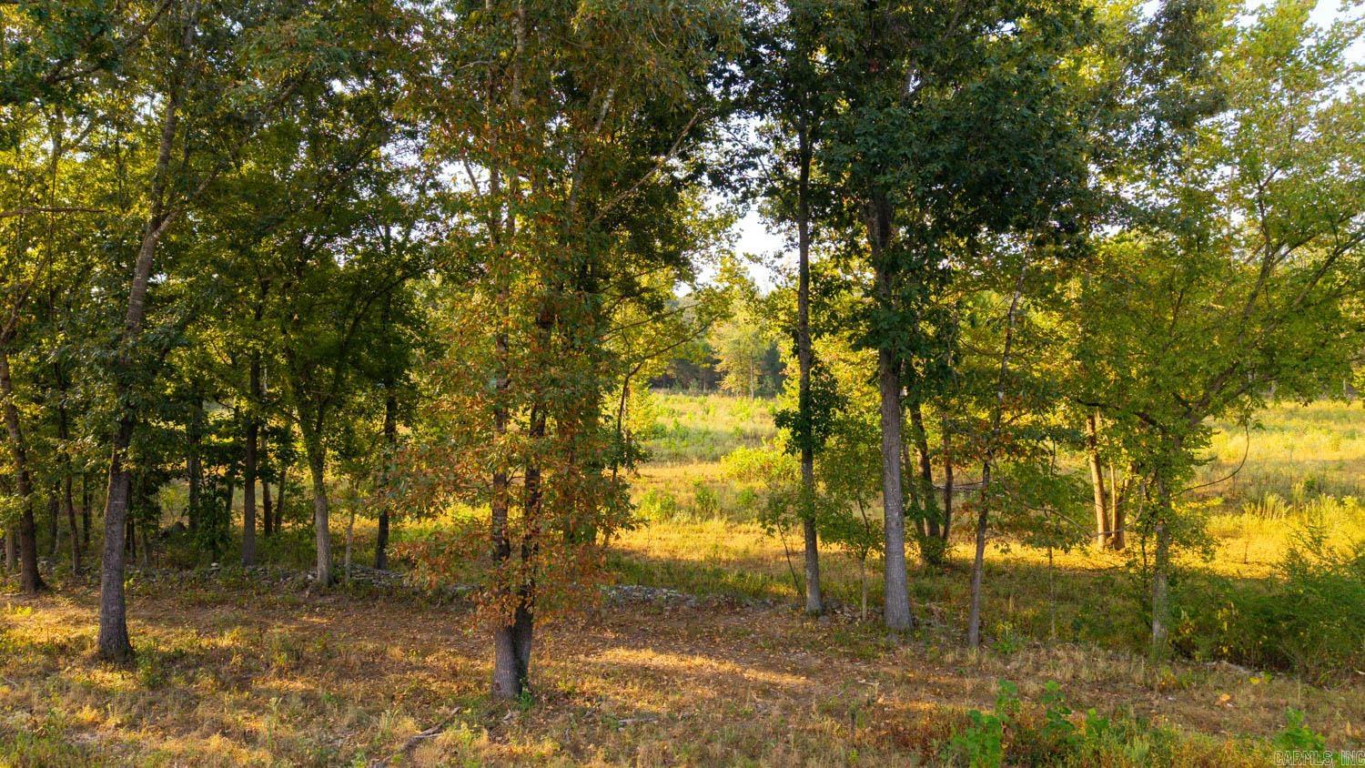 Photo 10 - Vacant Land for sale – 000  Bamber Road   Mammoth Spring, AR