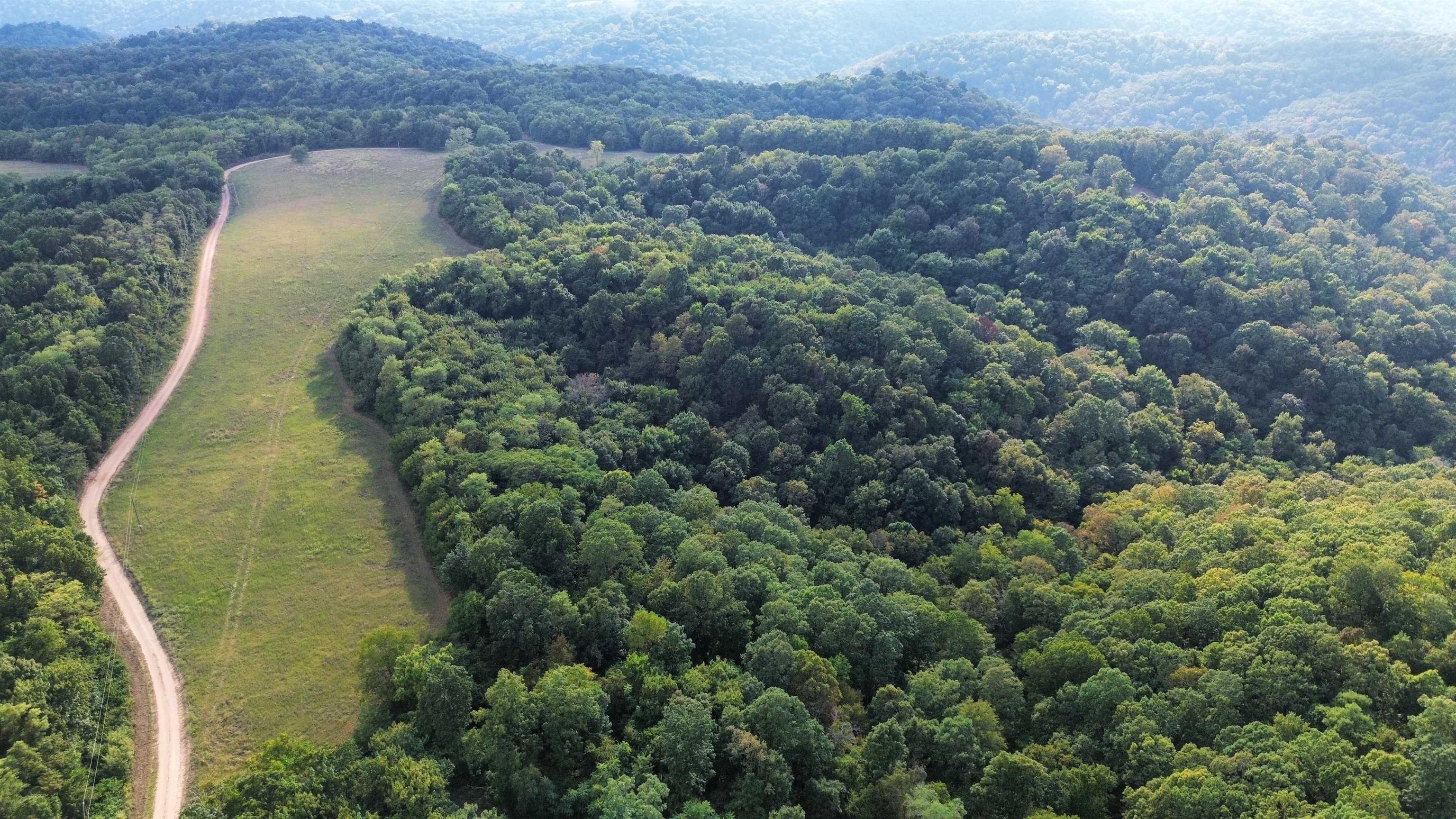 Photo 2 - Vacant Land for sale – 86A  Williamson Trail   Guion, AR