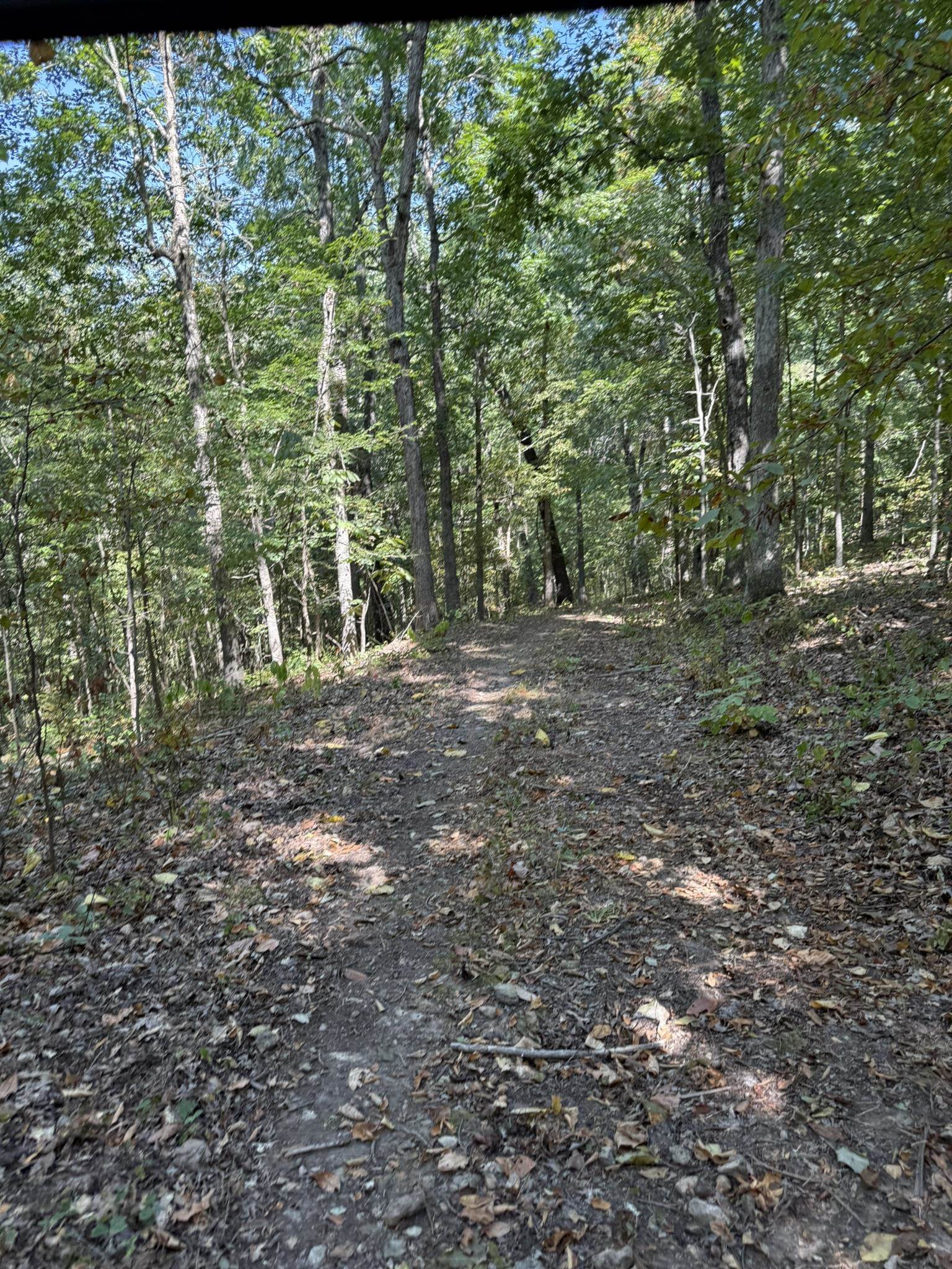 Photo 11 - Vacant Land for sale – 86A  Williamson Trail   Guion, AR