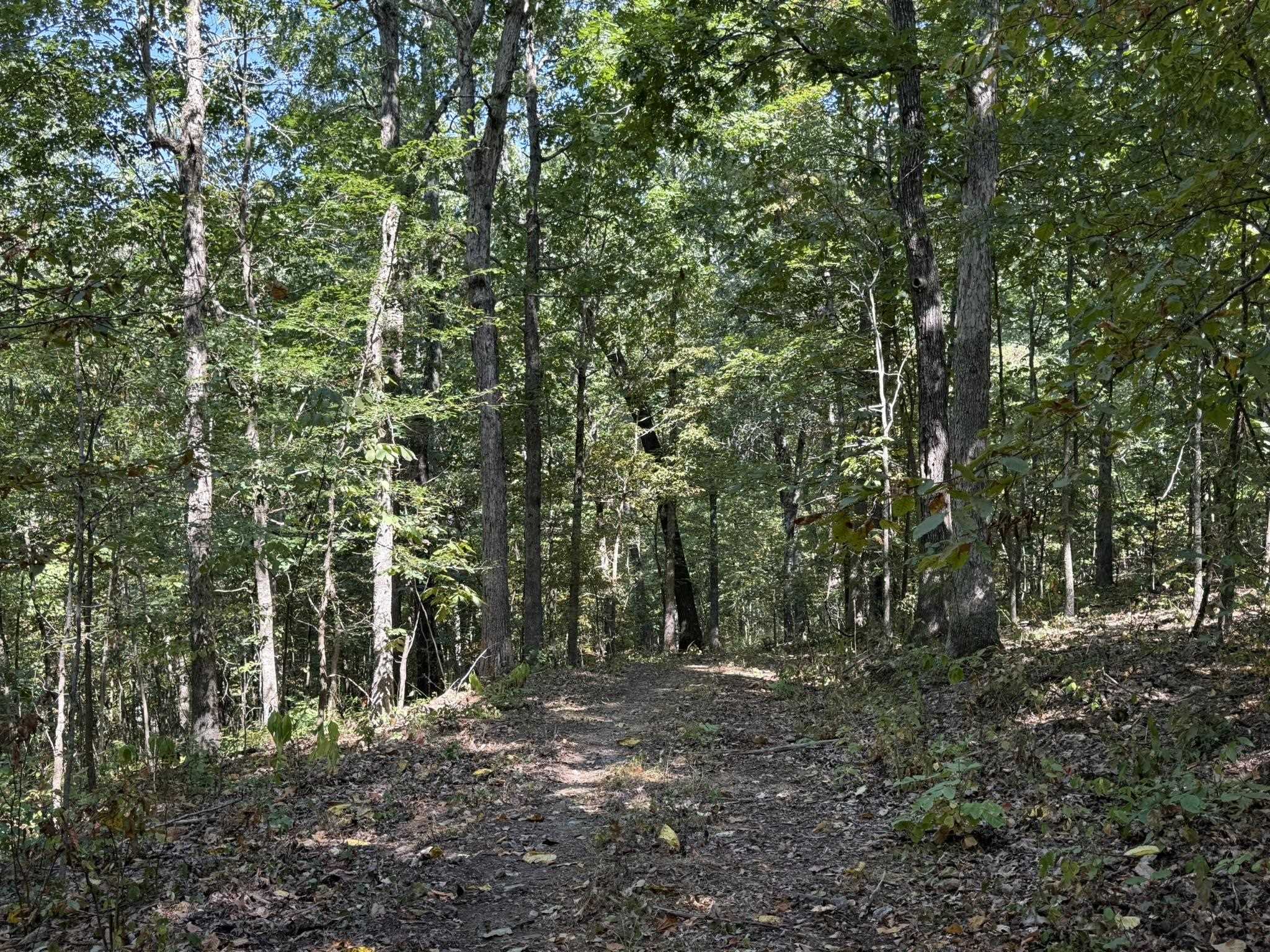 Photo 12 - Vacant Land for sale – 86A  Williamson Trail   Guion, AR