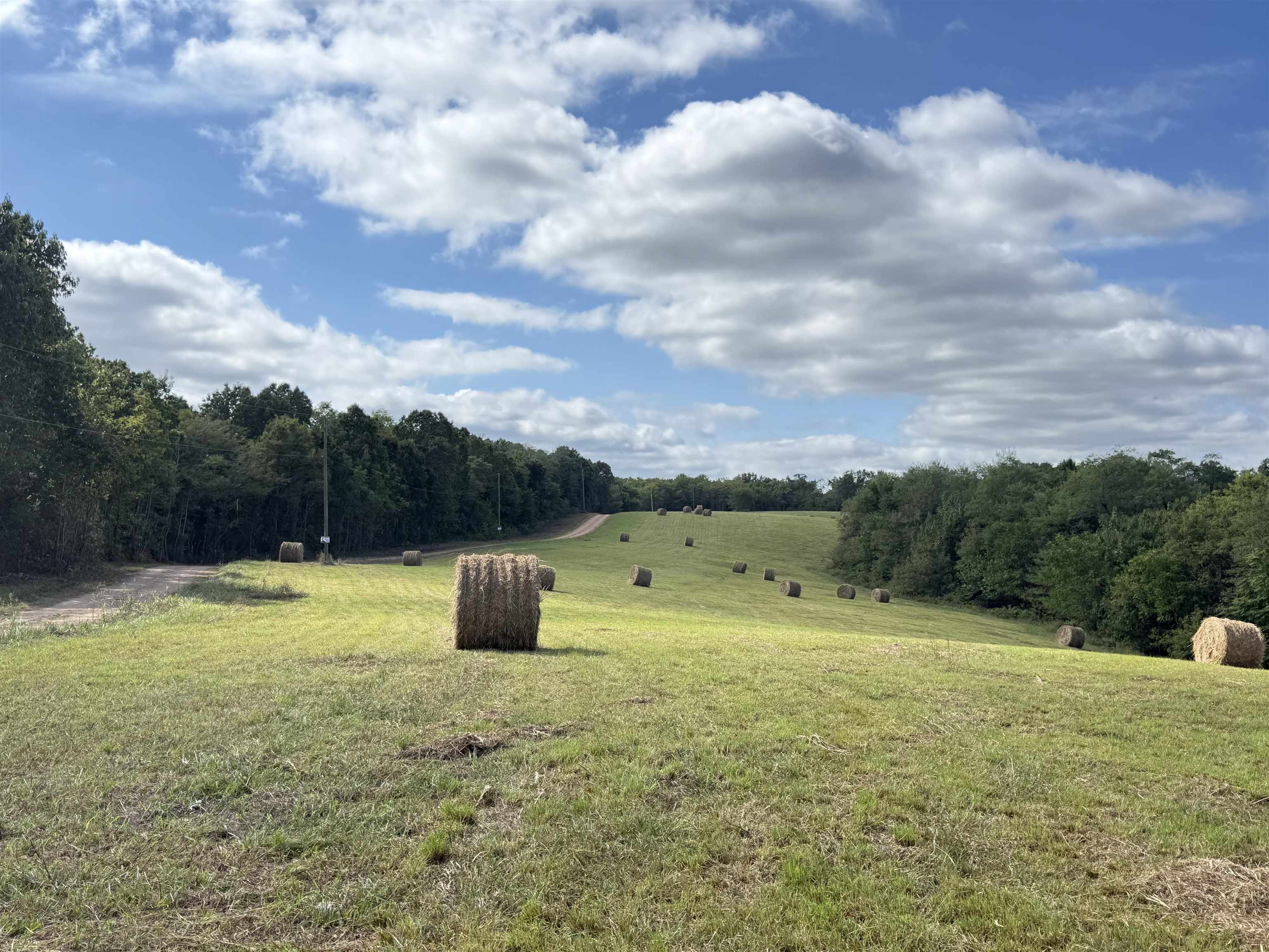 Photo 3 - Vacant Land for sale – 86A  Williamson Trail   Guion, AR