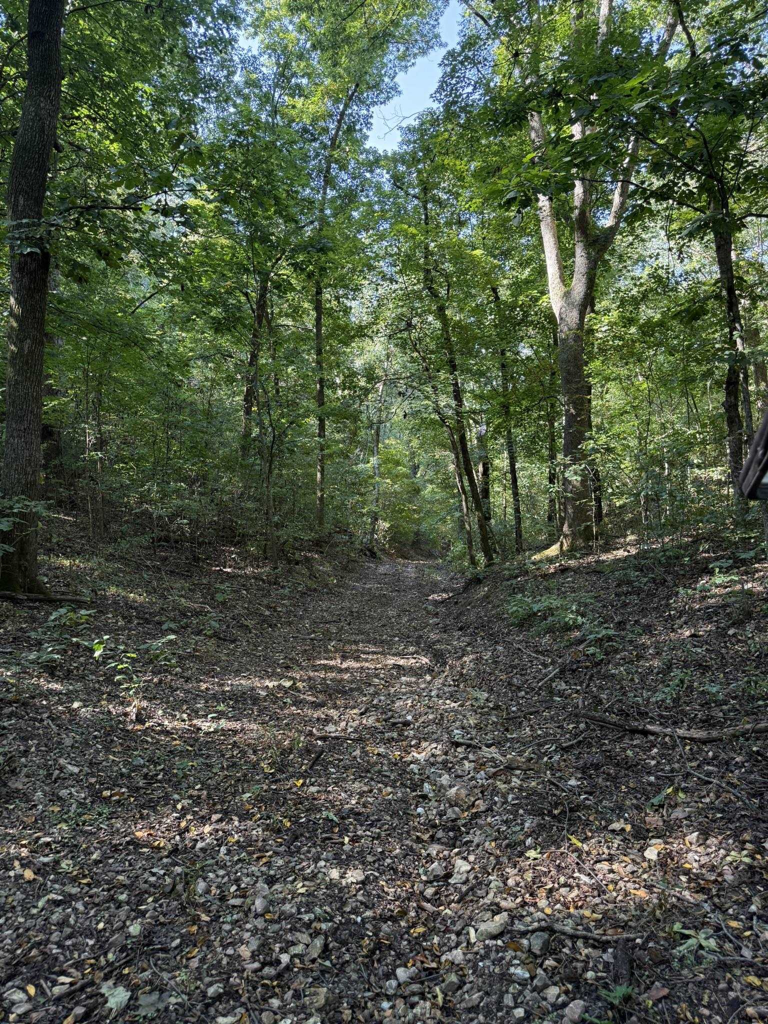 Photo 10 - Vacant Land for sale – 86A  Williamson Trail   Guion, AR