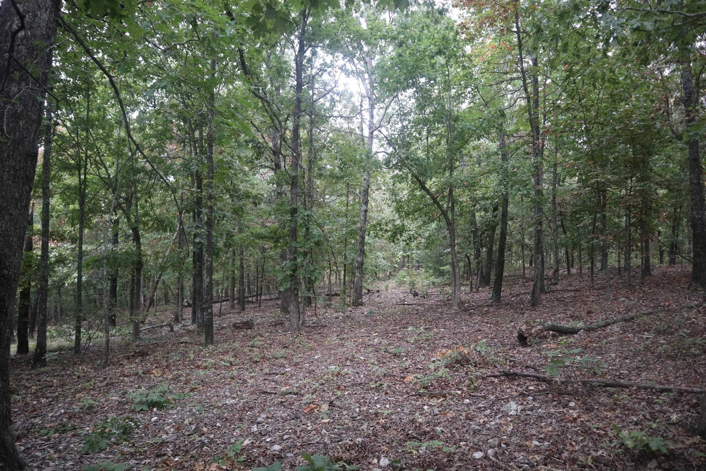 Vacant Land for sale – 3958  Young Rd   Salem, AR