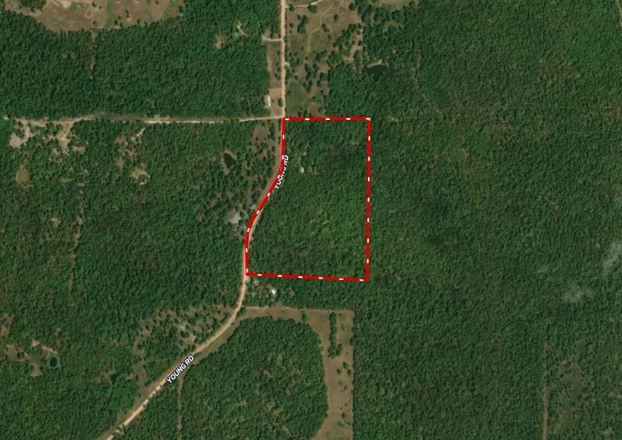 Photo 2 - Vacant Land for sale – 3958  Young Rd   Salem, AR