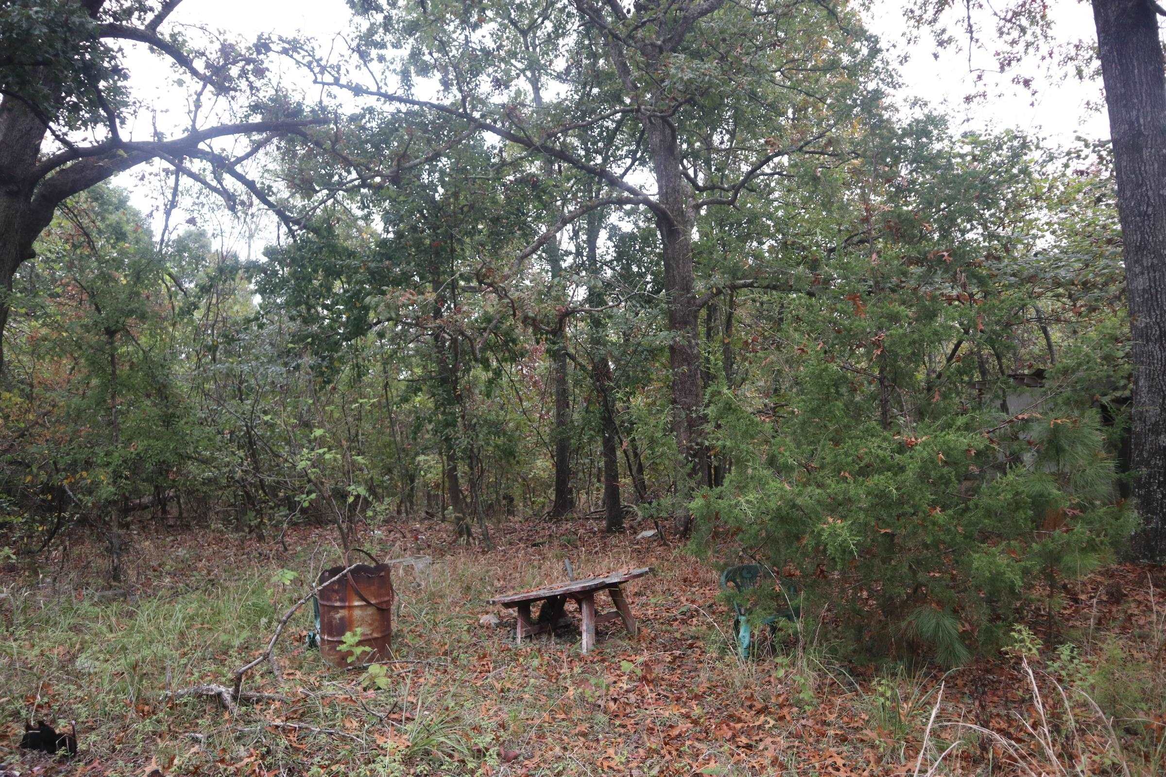 Photo 12 - Vacant Land for sale – 3958  Young Rd   Salem, AR