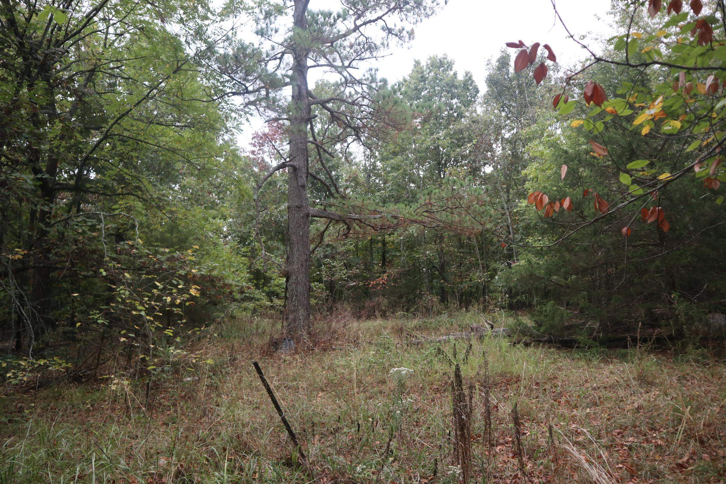Photo 14 - Vacant Land for sale – 3958  Young Rd   Salem, AR