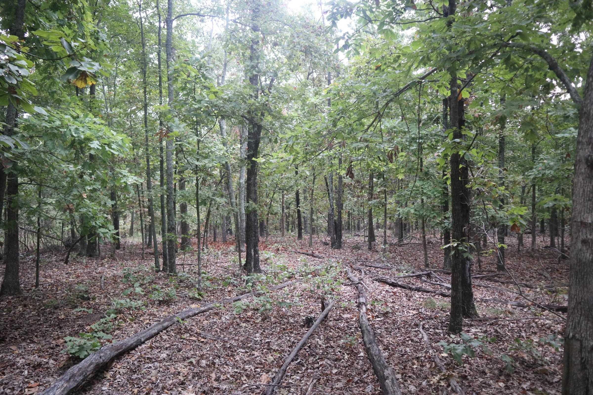 Photo 18 - Vacant Land for sale – 3958  Young Rd   Salem, AR