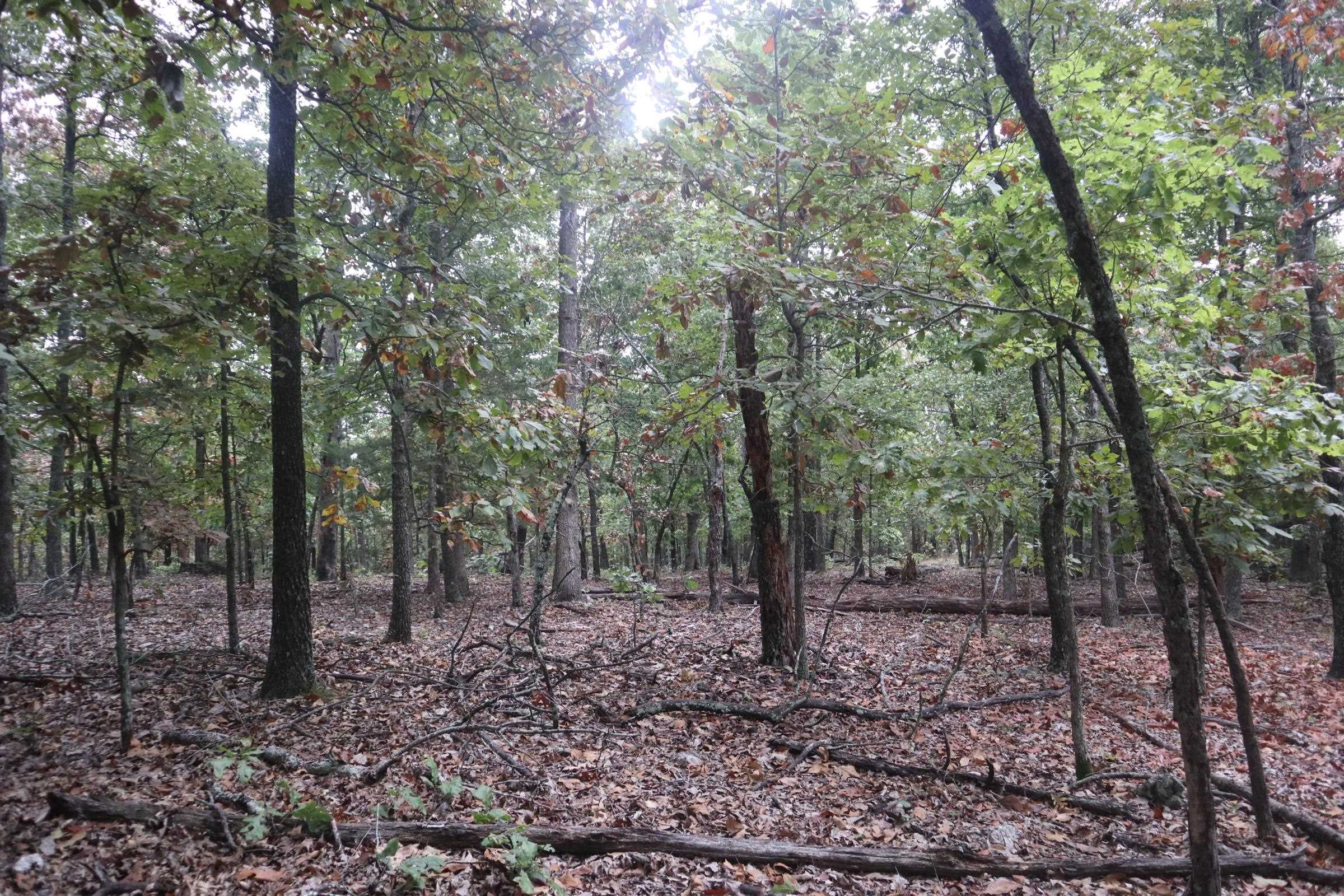 Photo 22 - Vacant Land for sale – 3958  Young Rd   Salem, AR
