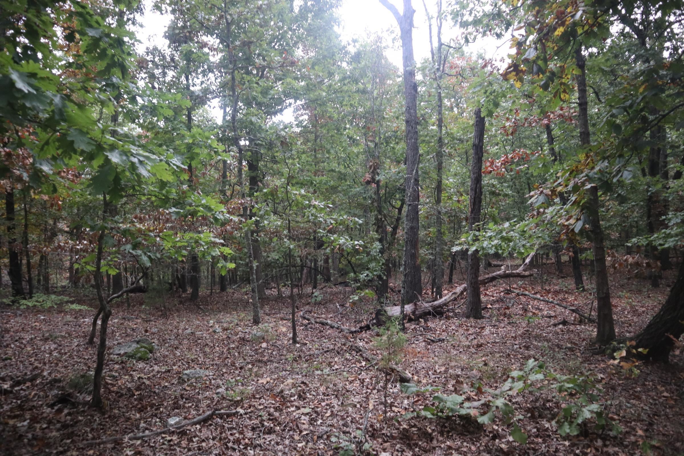 Photo 23 - Vacant Land for sale – 3958  Young Rd   Salem, AR