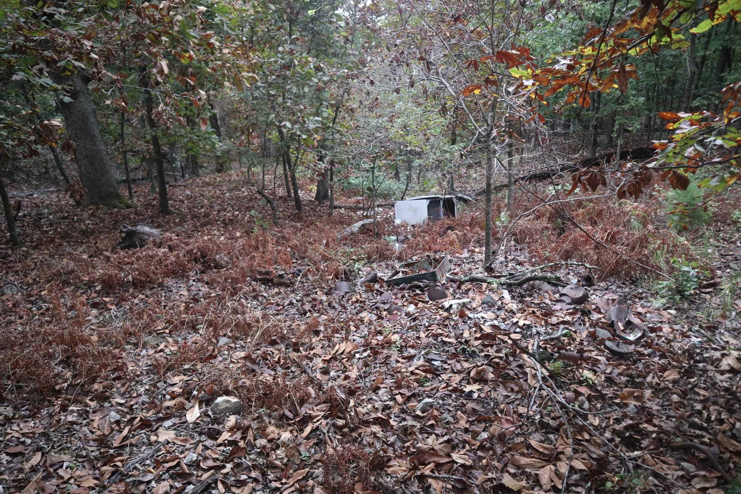 Photo 24 - Vacant Land for sale – 3958  Young Rd   Salem, AR