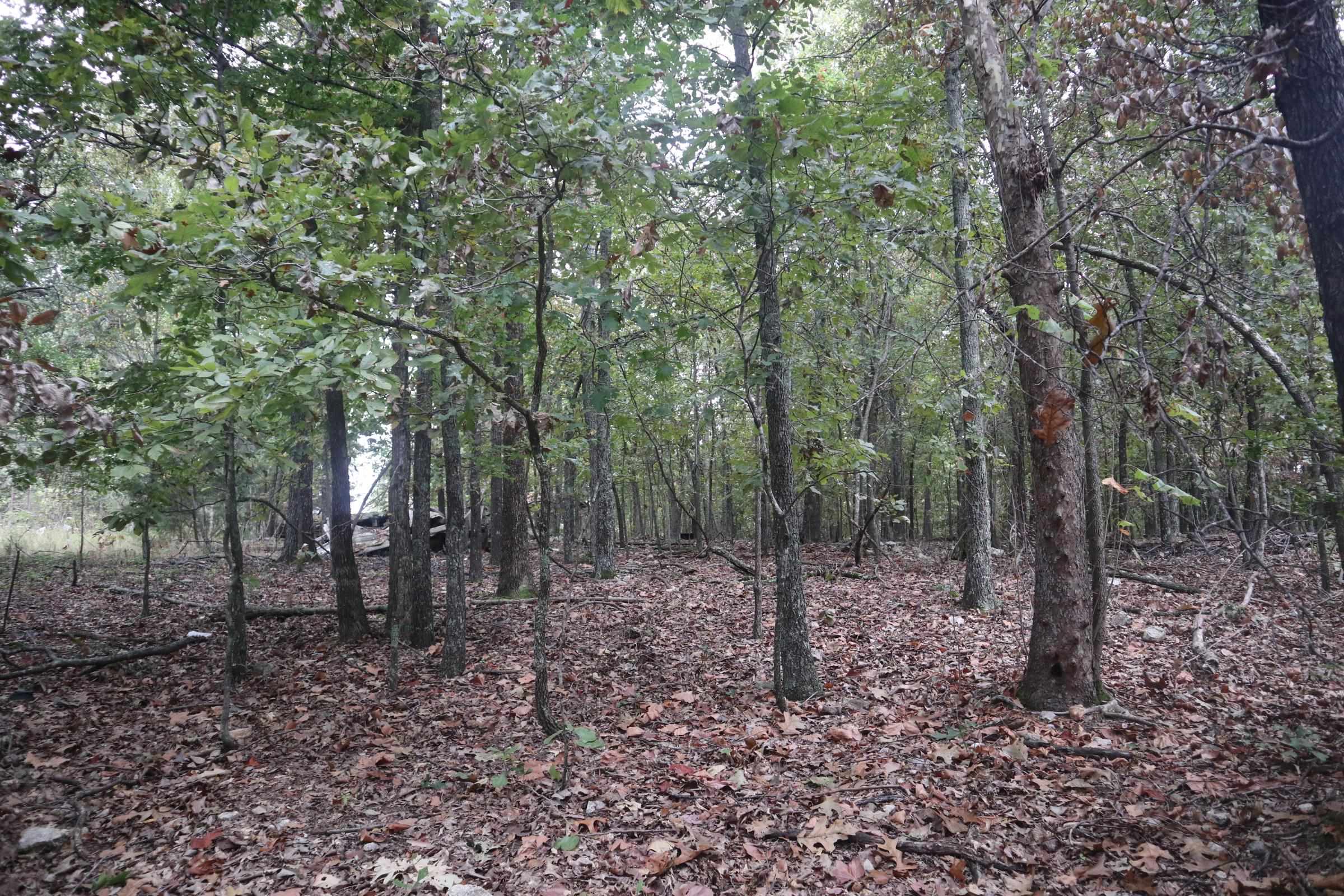 Photo 25 - Vacant Land for sale – 3958  Young Rd   Salem, AR