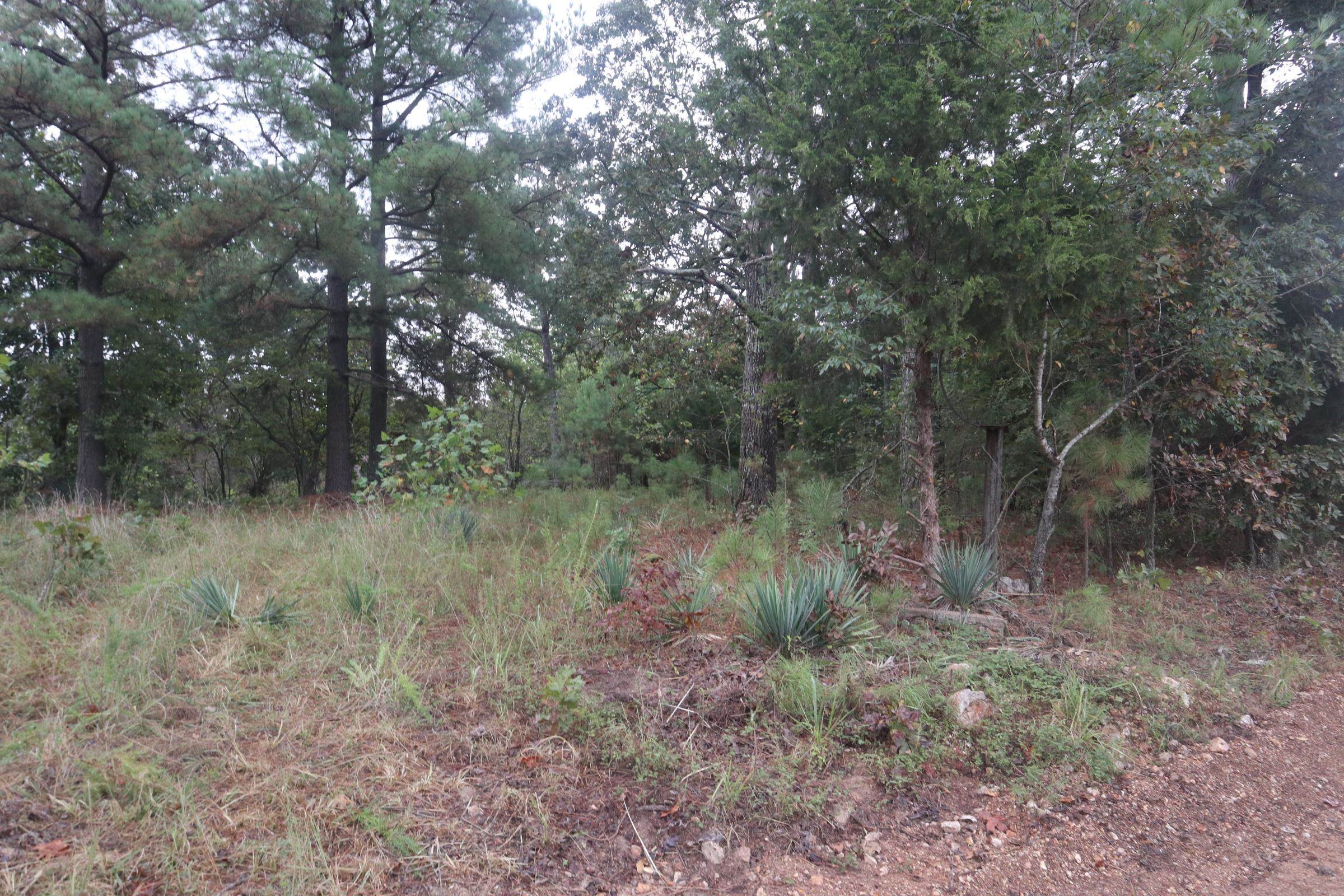 Photo 26 - Vacant Land for sale – 3958  Young Rd   Salem, AR