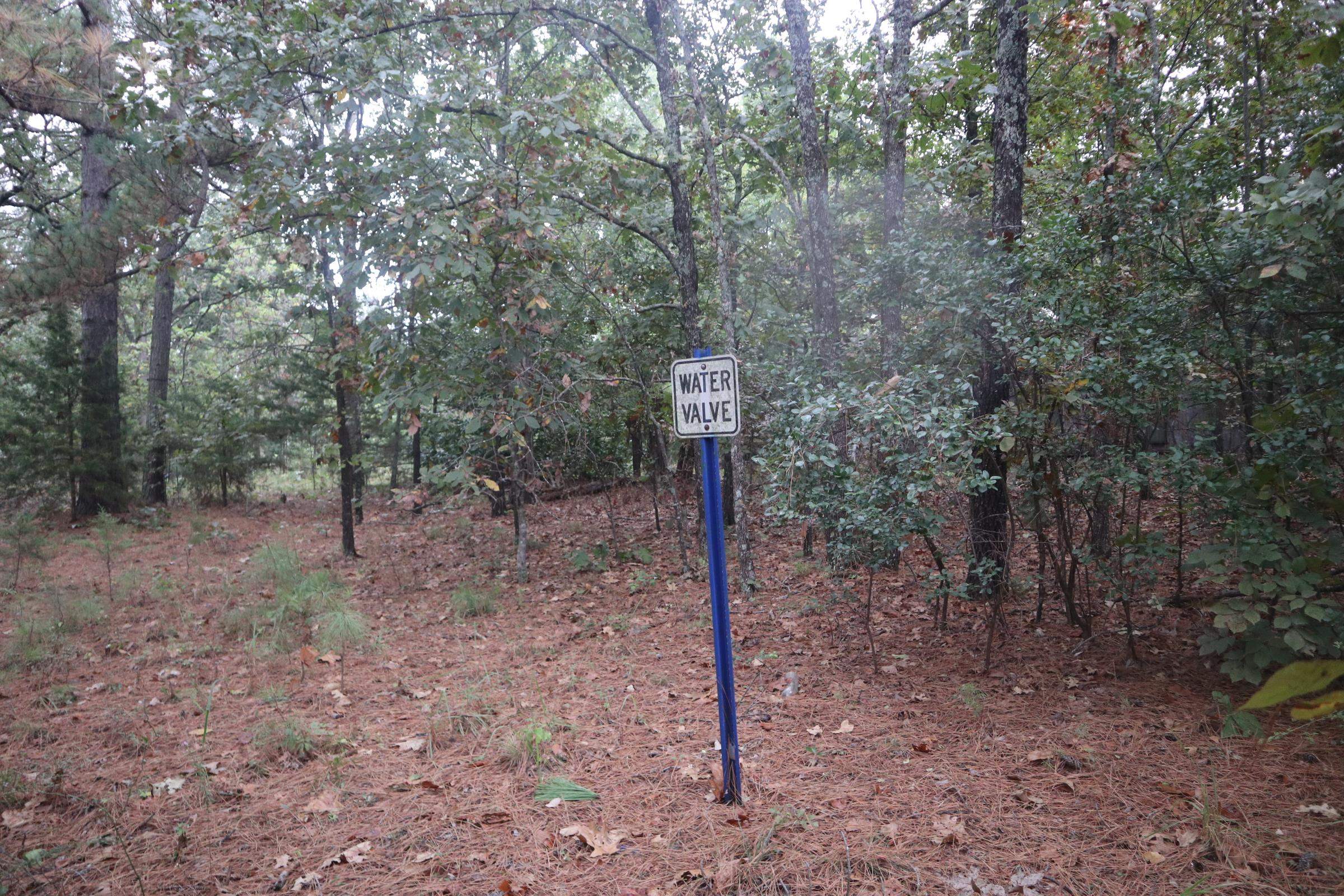 Photo 27 - Vacant Land for sale – 3958  Young Rd   Salem, AR