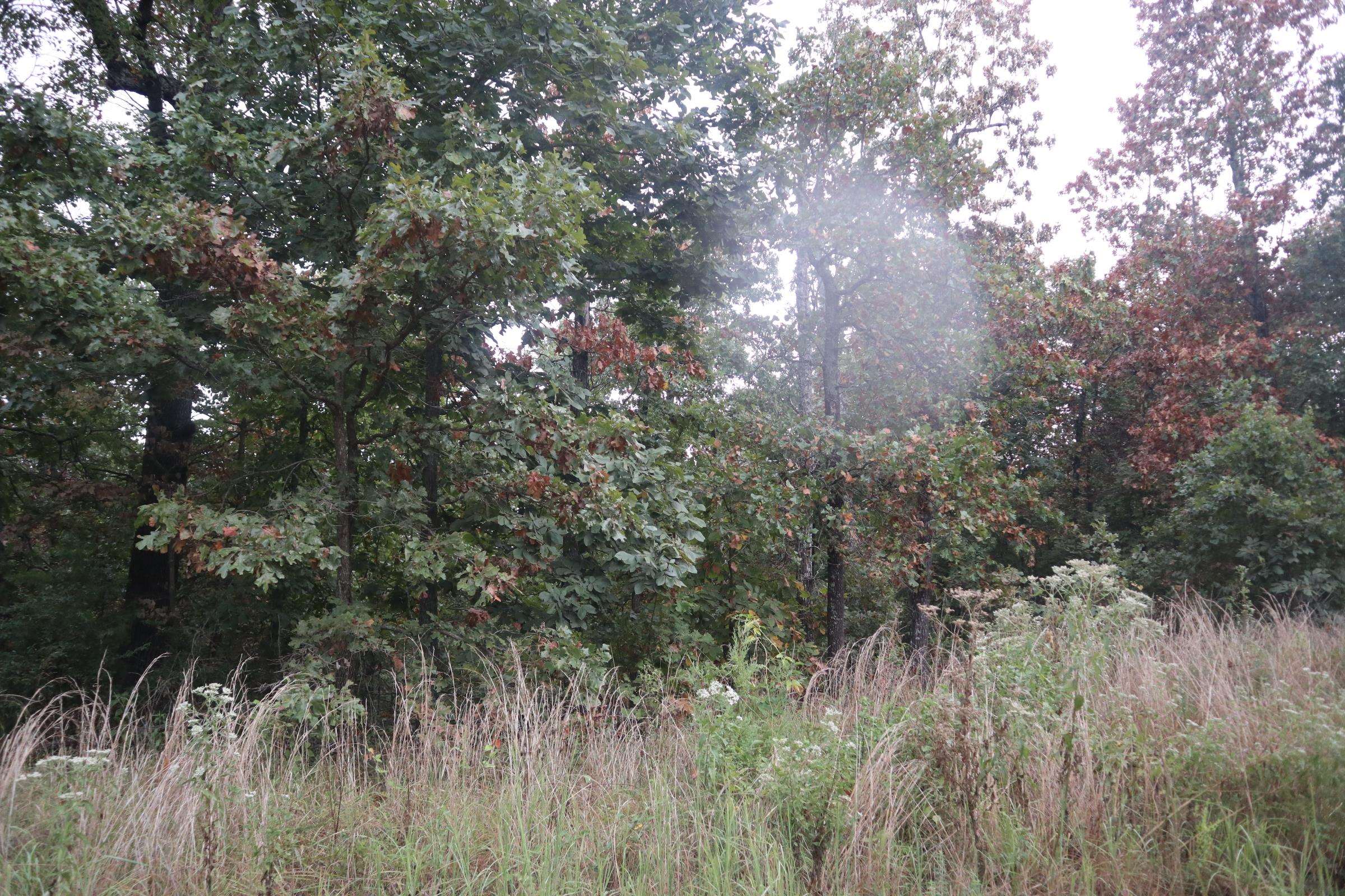 Photo 28 - Vacant Land for sale – 3958  Young Rd   Salem, AR