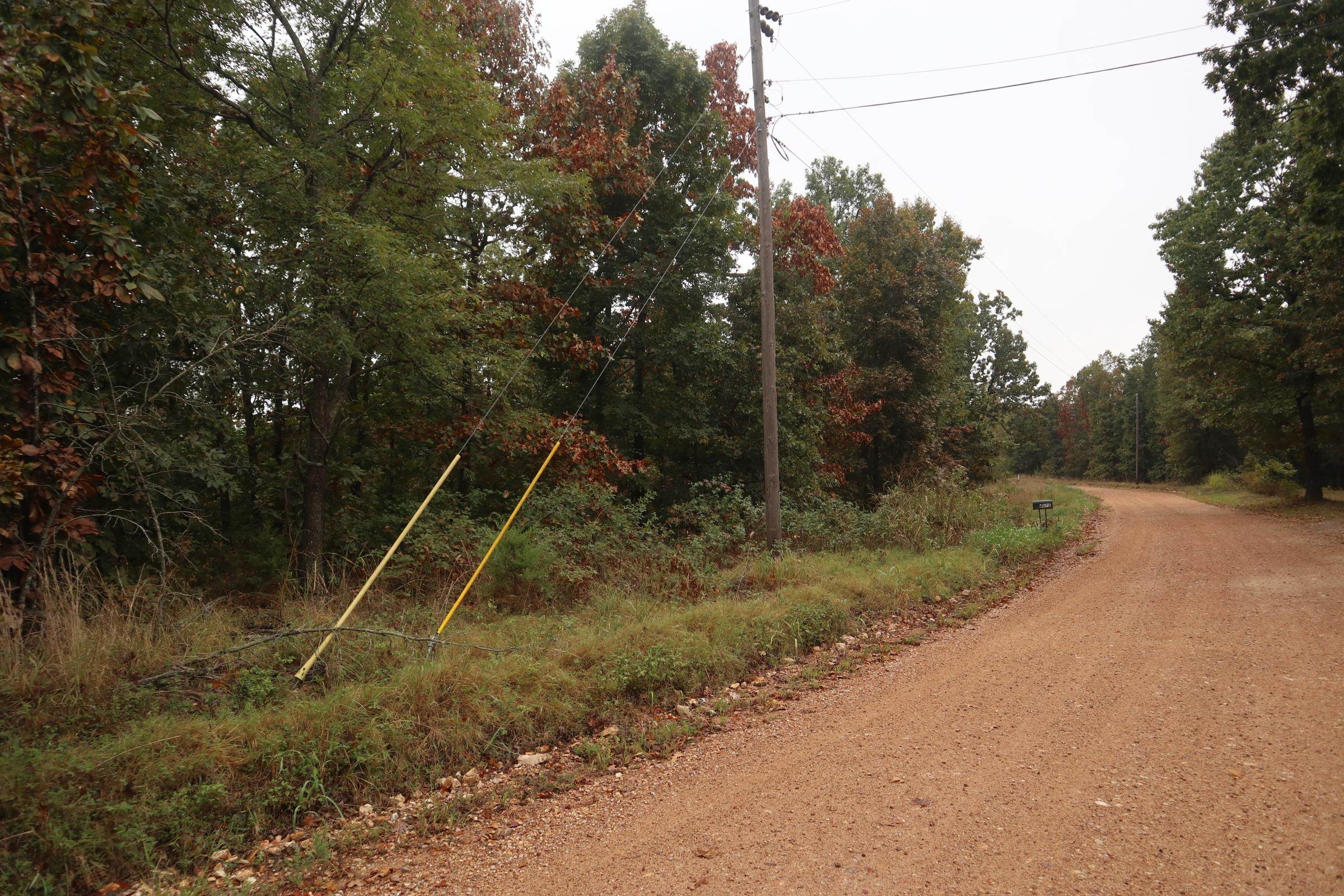Photo 5 - Vacant Land for sale – 3958  Young Rd   Salem, AR