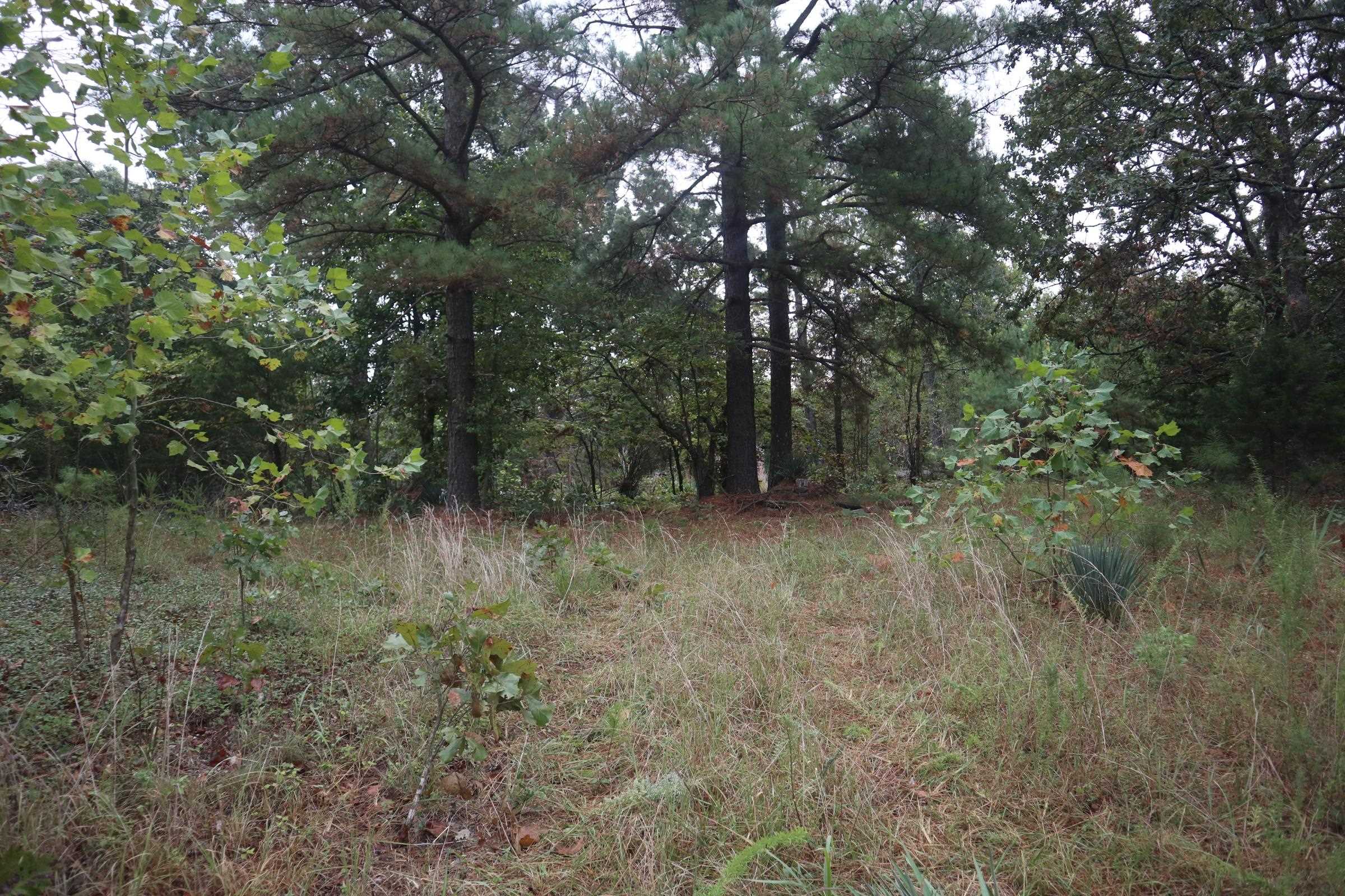 Photo 6 - Vacant Land for sale – 3958  Young Rd   Salem, AR