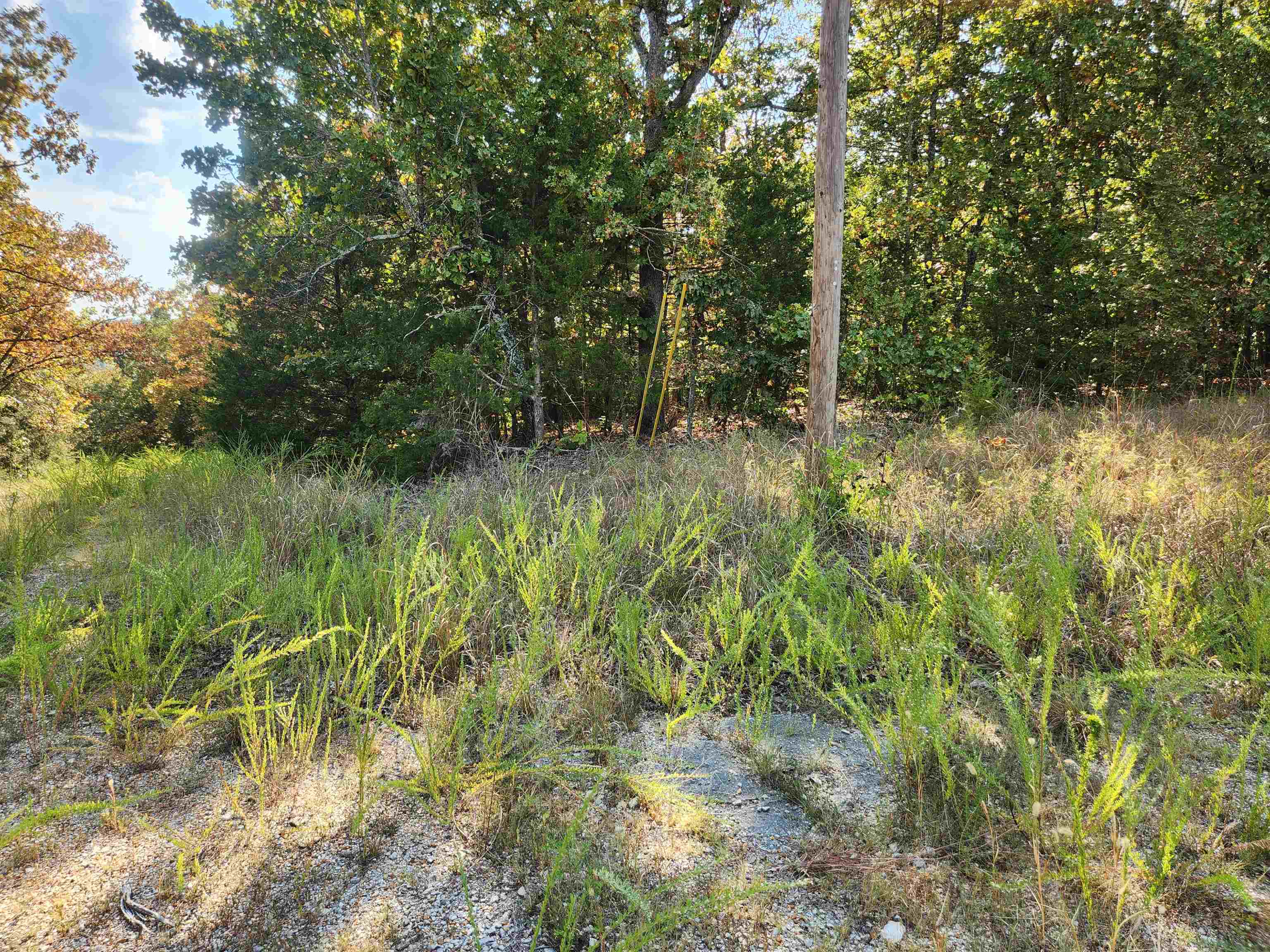 Vacant Land for sale – L16B5  Colonino   Cherokee Village, AR