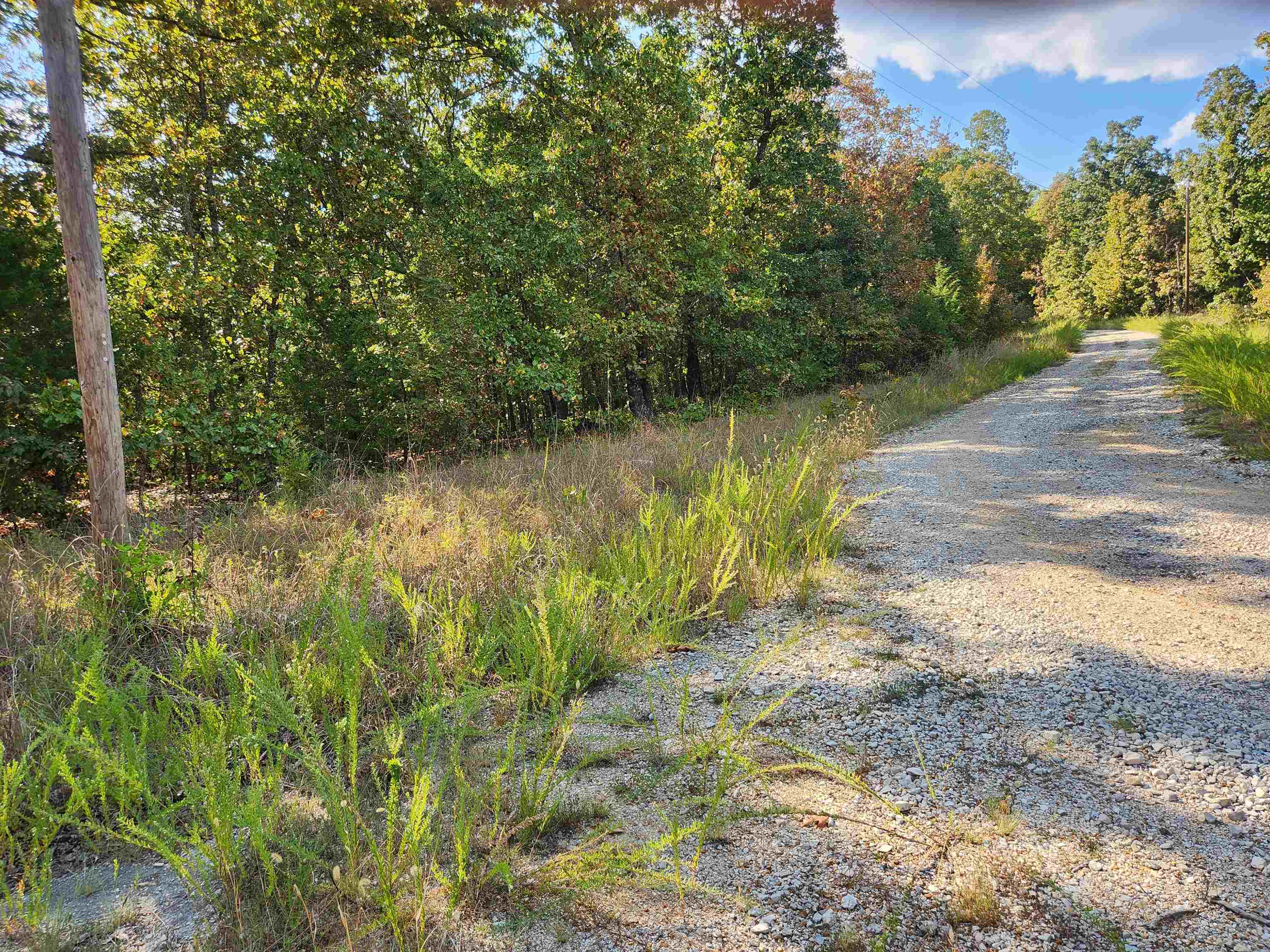 Photo 2 - Vacant Land for sale – L16B5  Colonino   Cherokee Village, AR