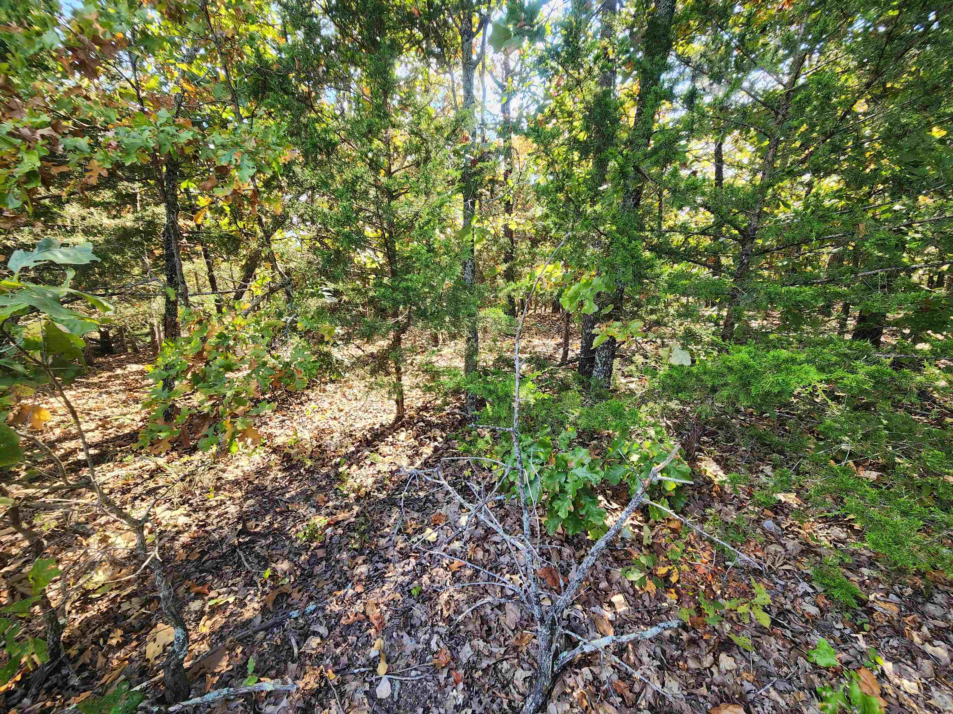 Photo 11 - Vacant Land for sale – L16B5  Colonino   Cherokee Village, AR