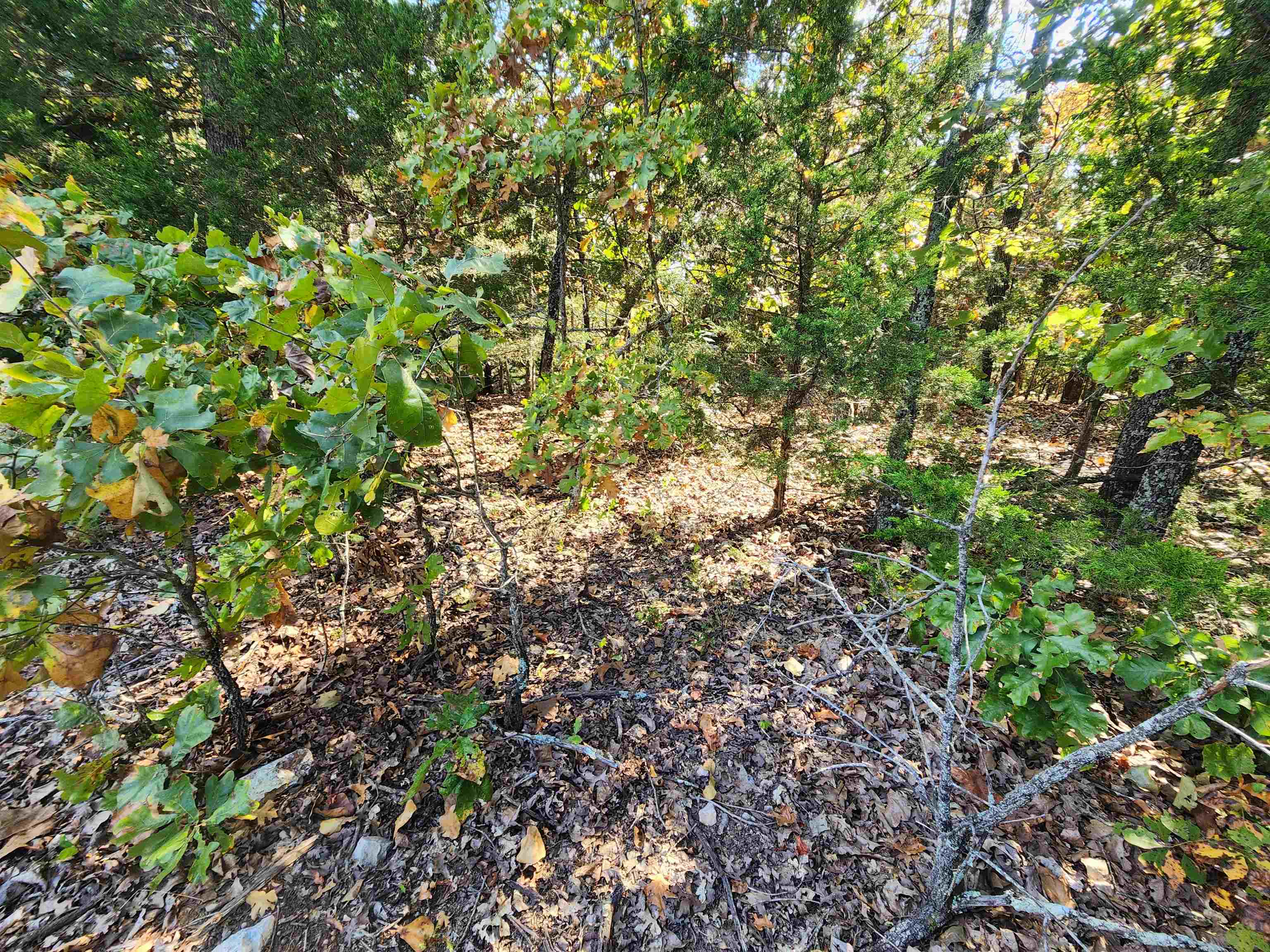 Photo 12 - Vacant Land for sale – L16B5  Colonino   Cherokee Village, AR