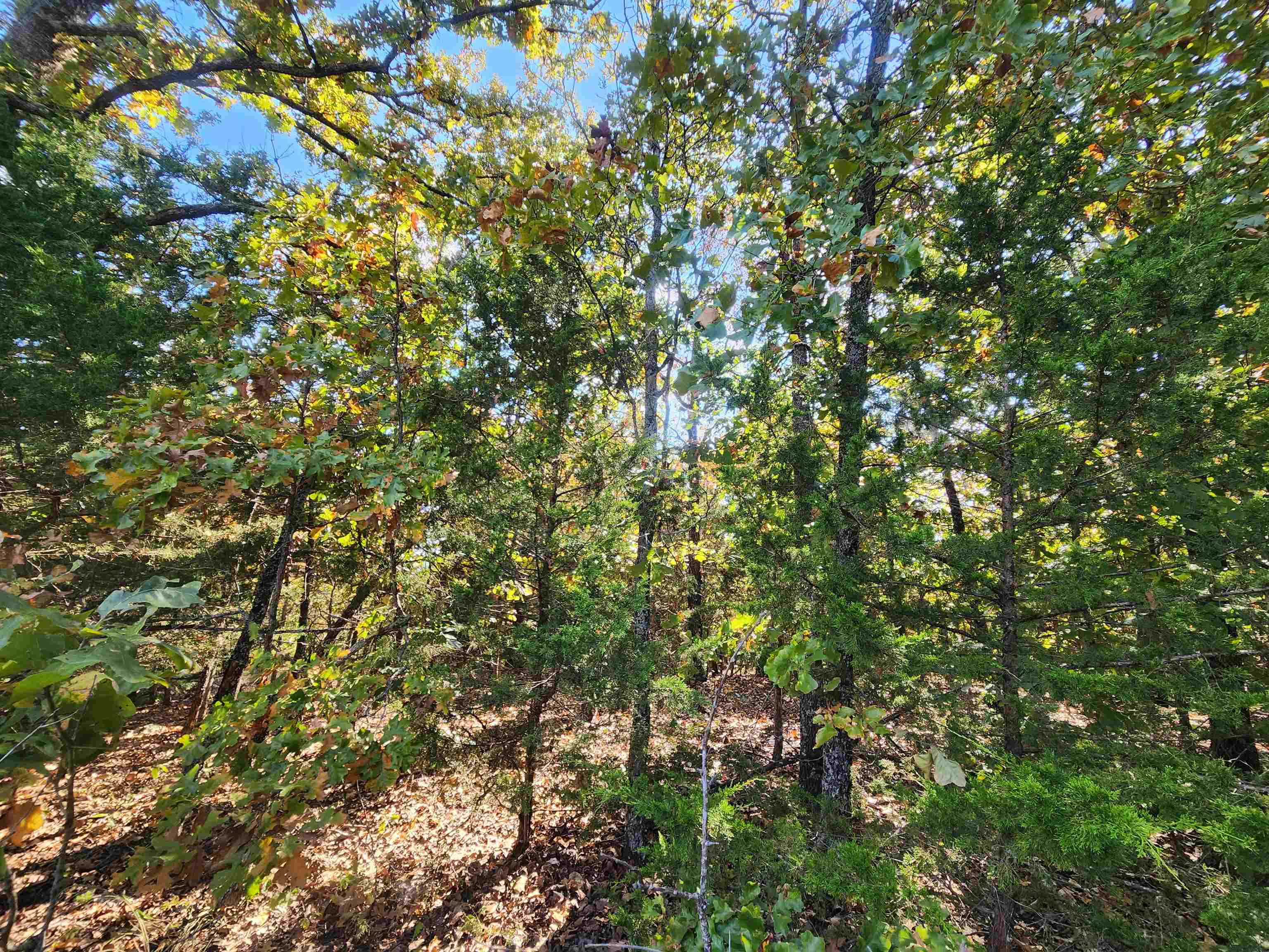 Photo 13 - Vacant Land for sale – L16B5  Colonino   Cherokee Village, AR