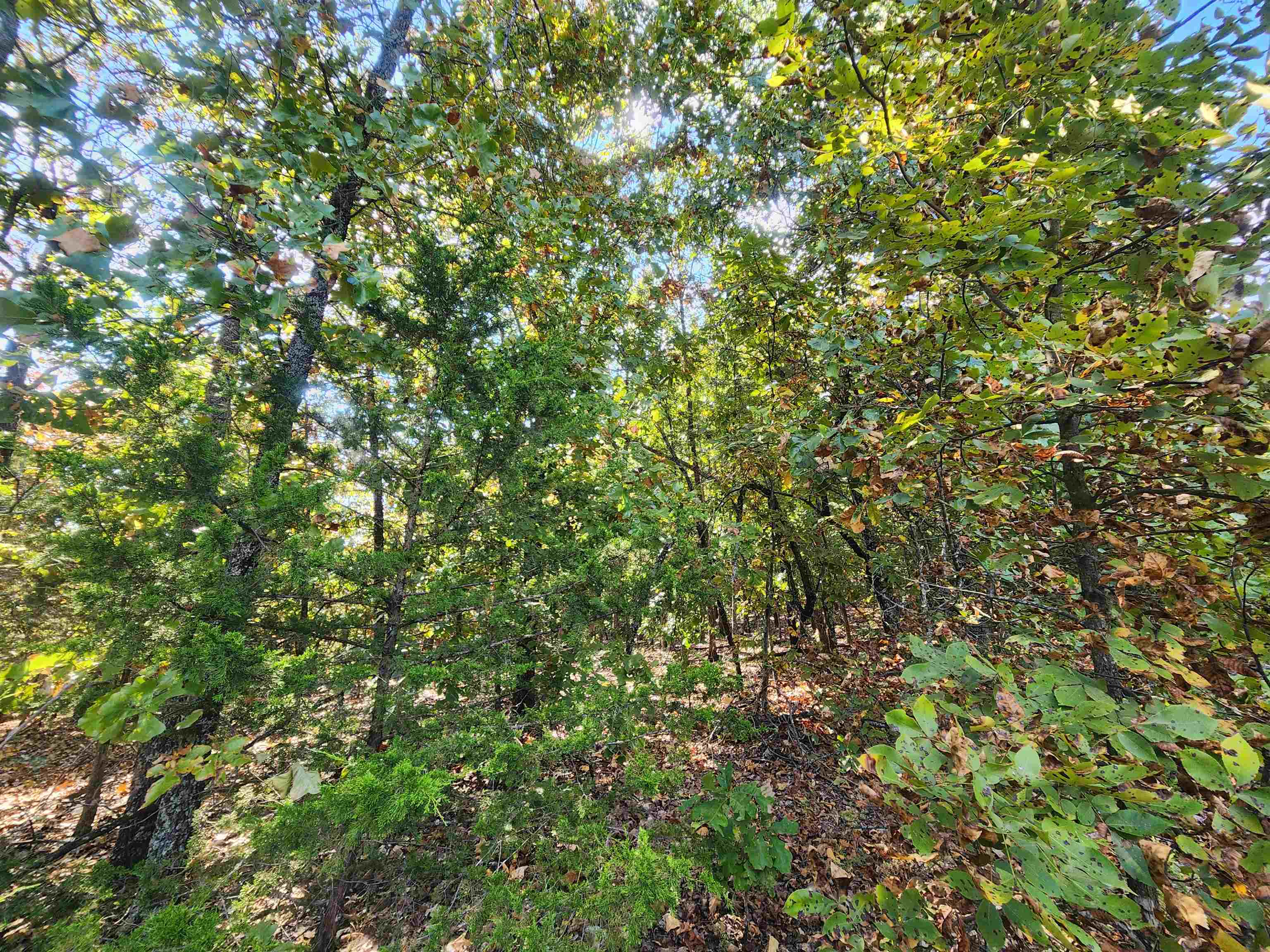 Photo 14 - Vacant Land for sale – L16B5  Colonino   Cherokee Village, AR