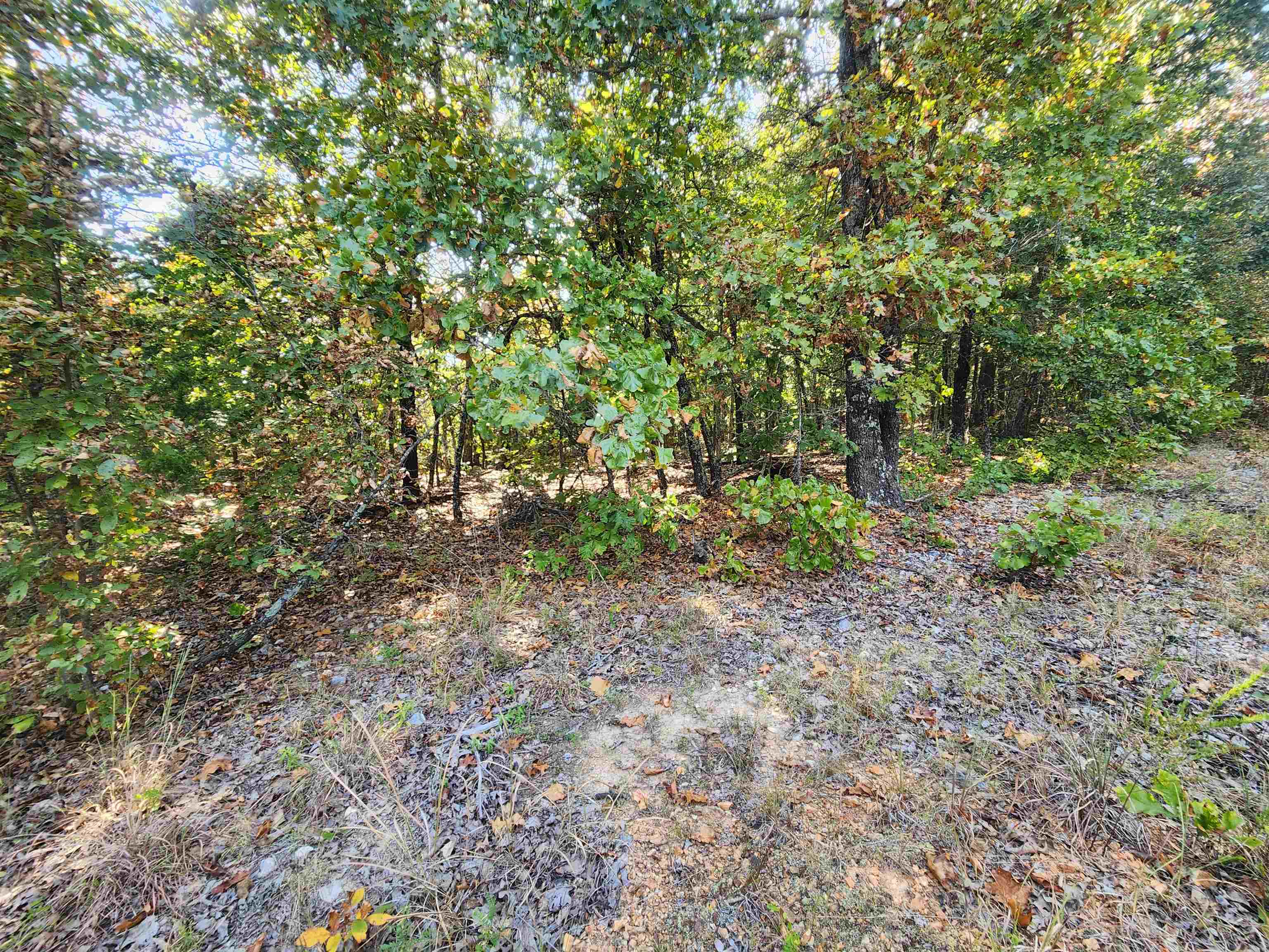 Photo 15 - Vacant Land for sale – L16B5  Colonino   Cherokee Village, AR
