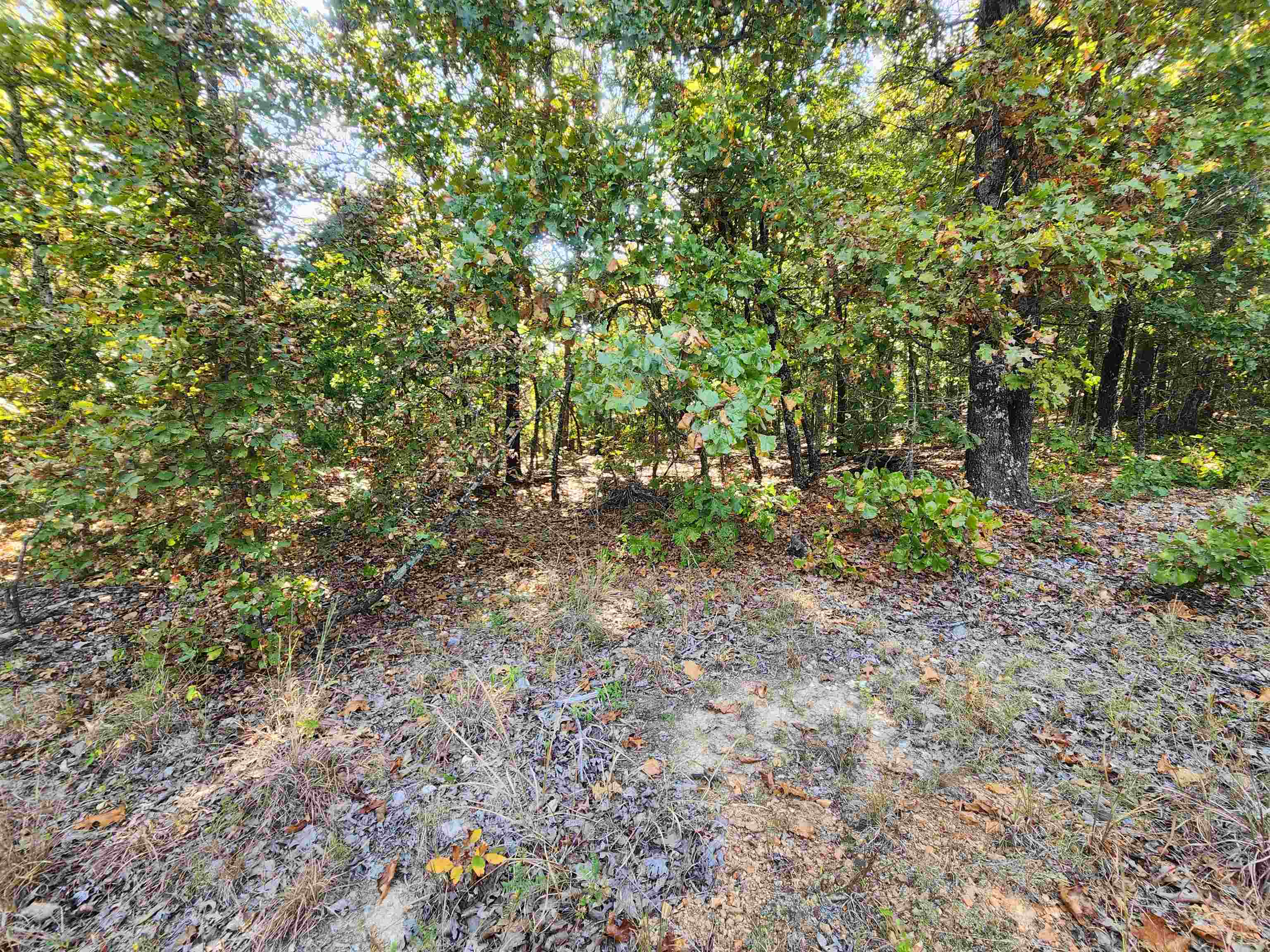 Photo 16 - Vacant Land for sale – L16B5  Colonino   Cherokee Village, AR