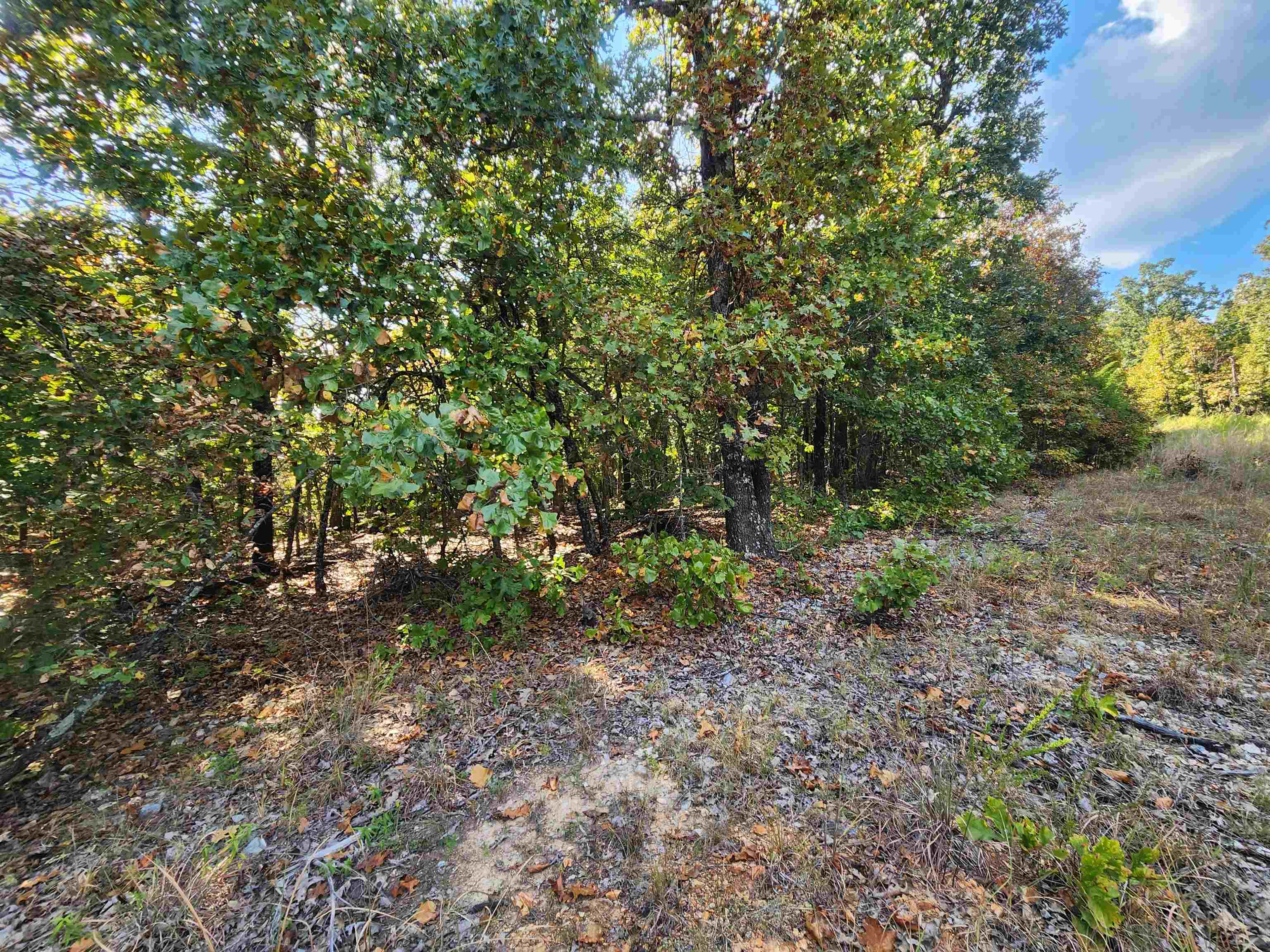 Photo 17 - Vacant Land for sale – L16B5  Colonino   Cherokee Village, AR