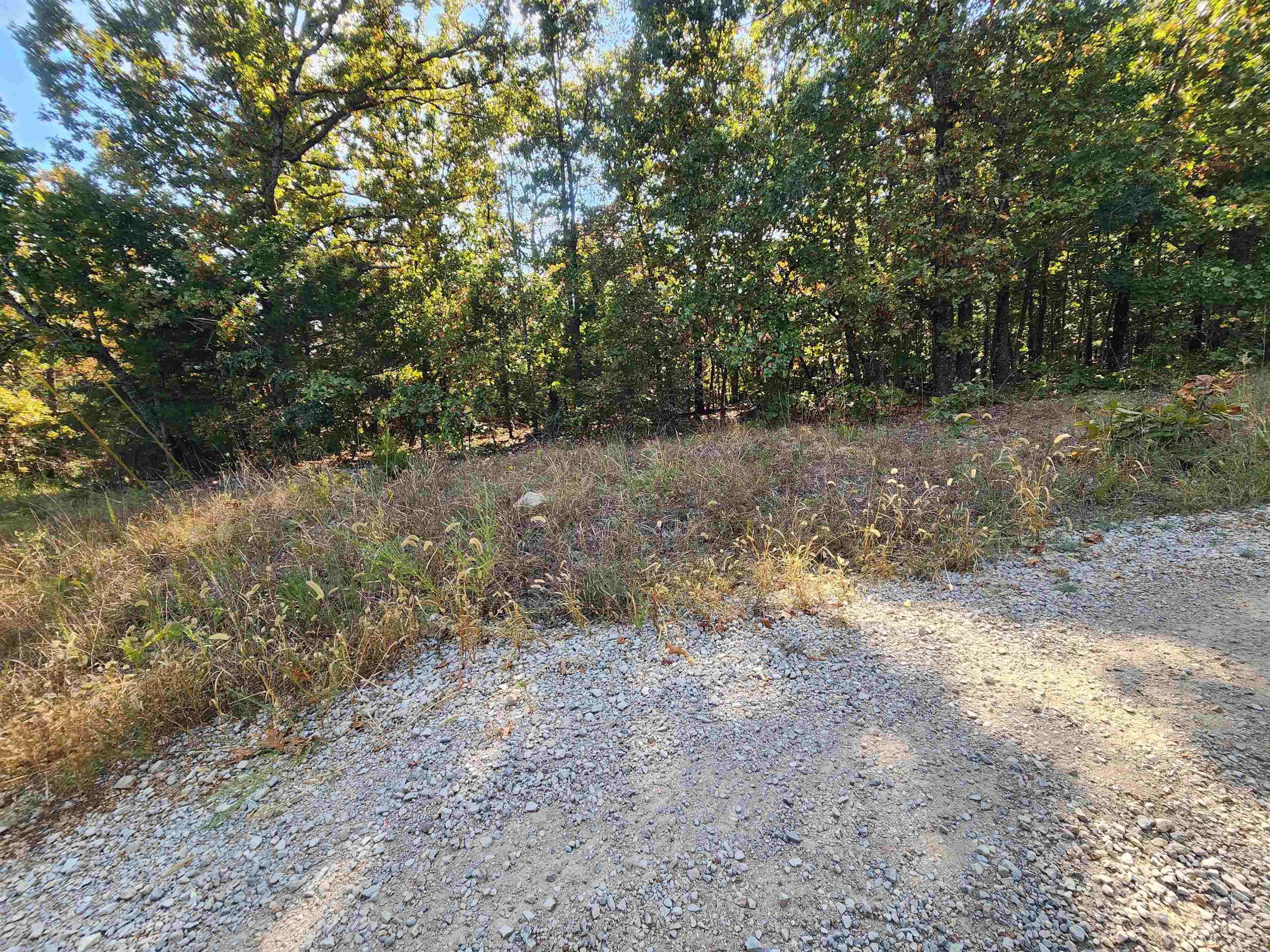 Photo 18 - Vacant Land for sale – L16B5  Colonino   Cherokee Village, AR