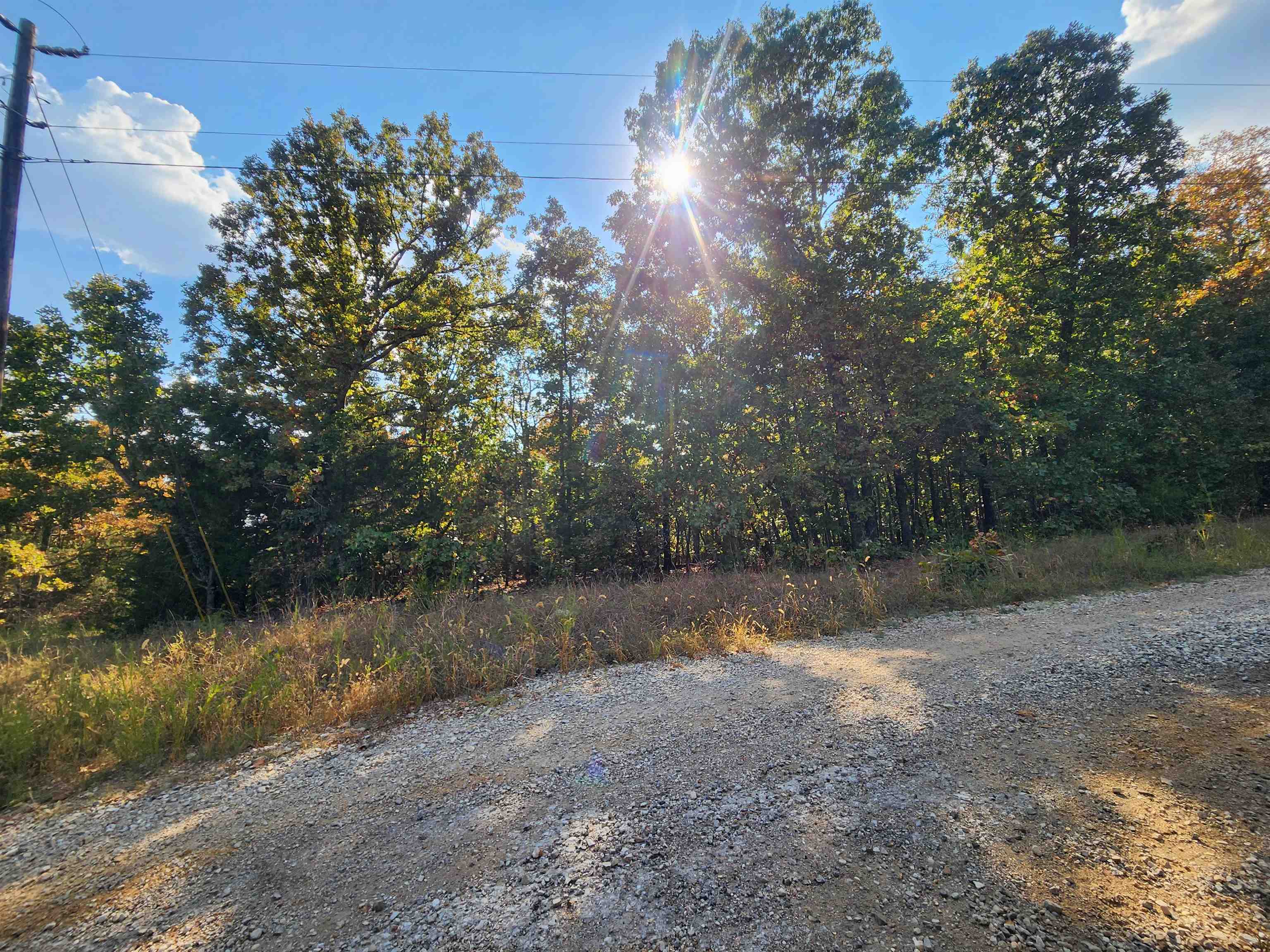 Photo 19 - Vacant Land for sale – L16B5  Colonino   Cherokee Village, AR