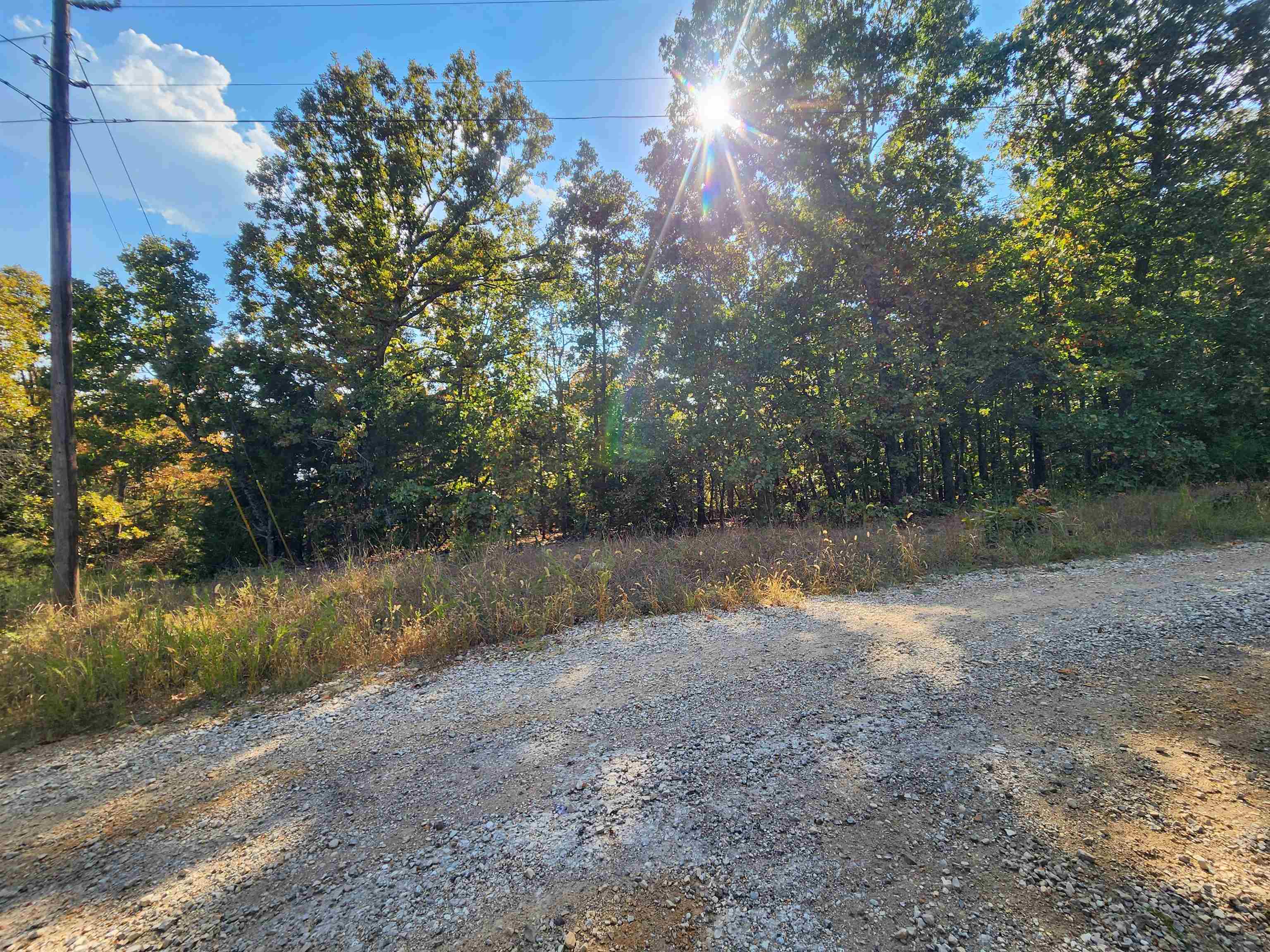 Photo 20 - Vacant Land for sale – L16B5  Colonino   Cherokee Village, AR