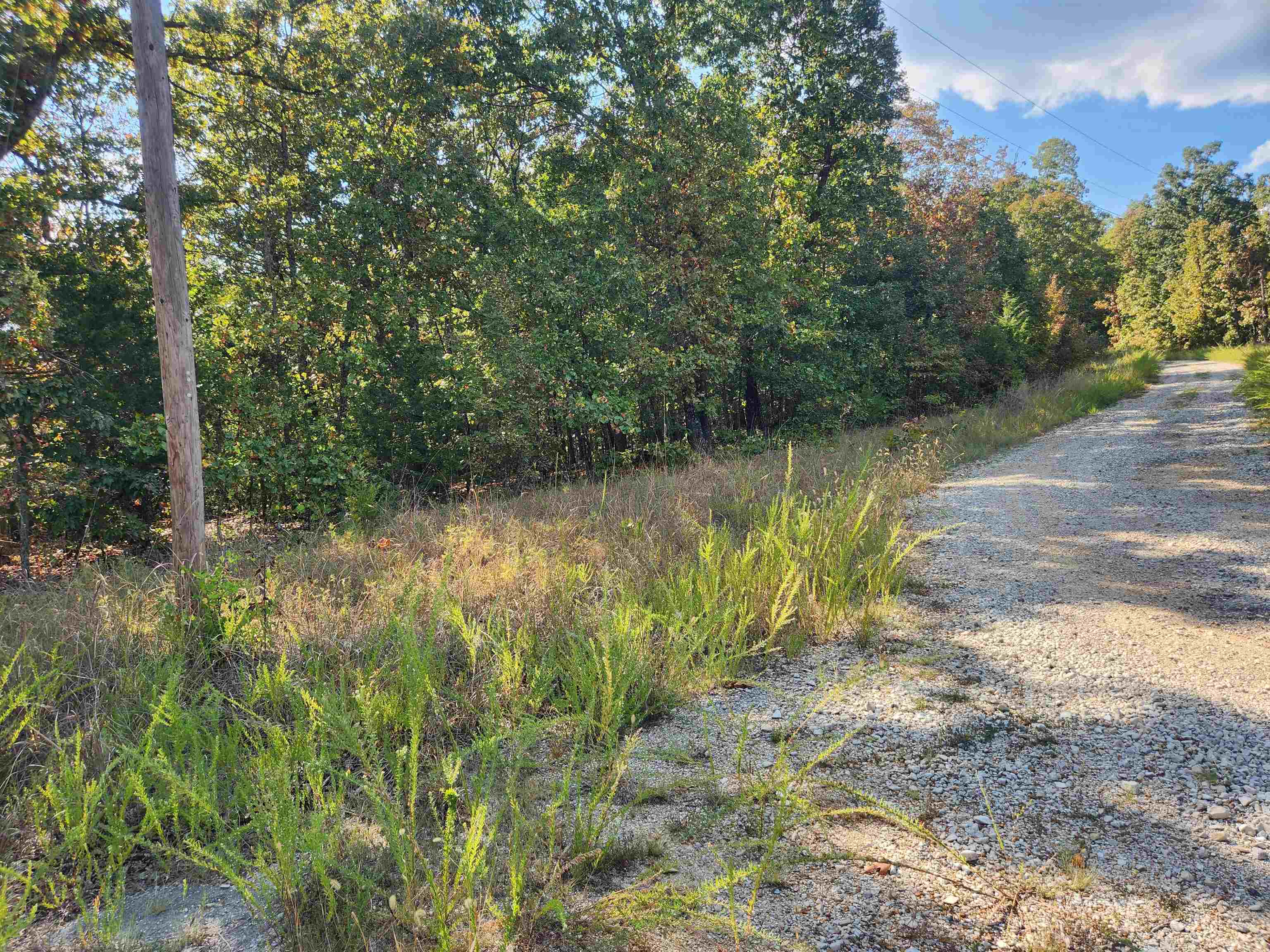 Photo 3 - Vacant Land for sale – L16B5  Colonino   Cherokee Village, AR