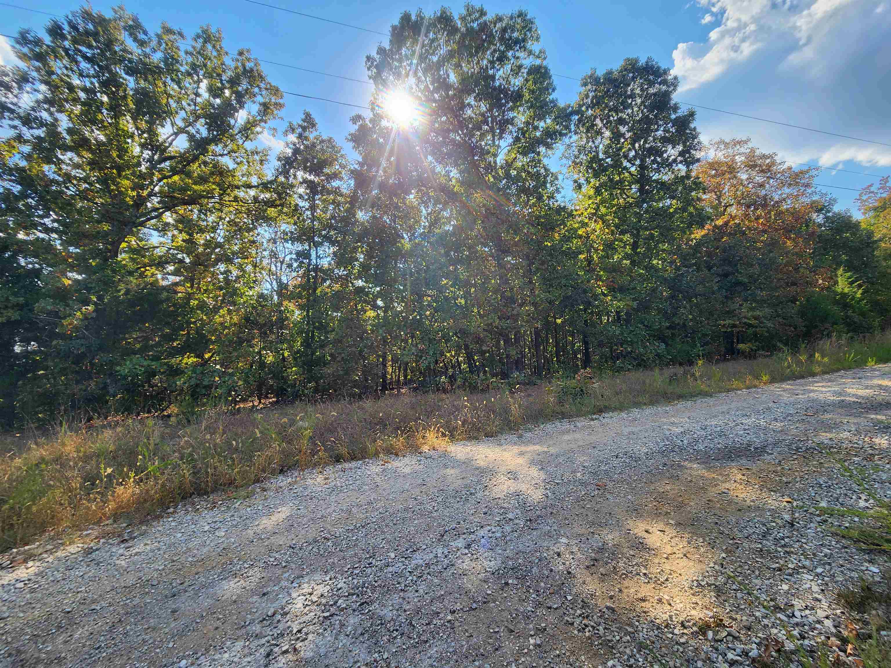 Photo 21 - Vacant Land for sale – L16B5  Colonino   Cherokee Village, AR