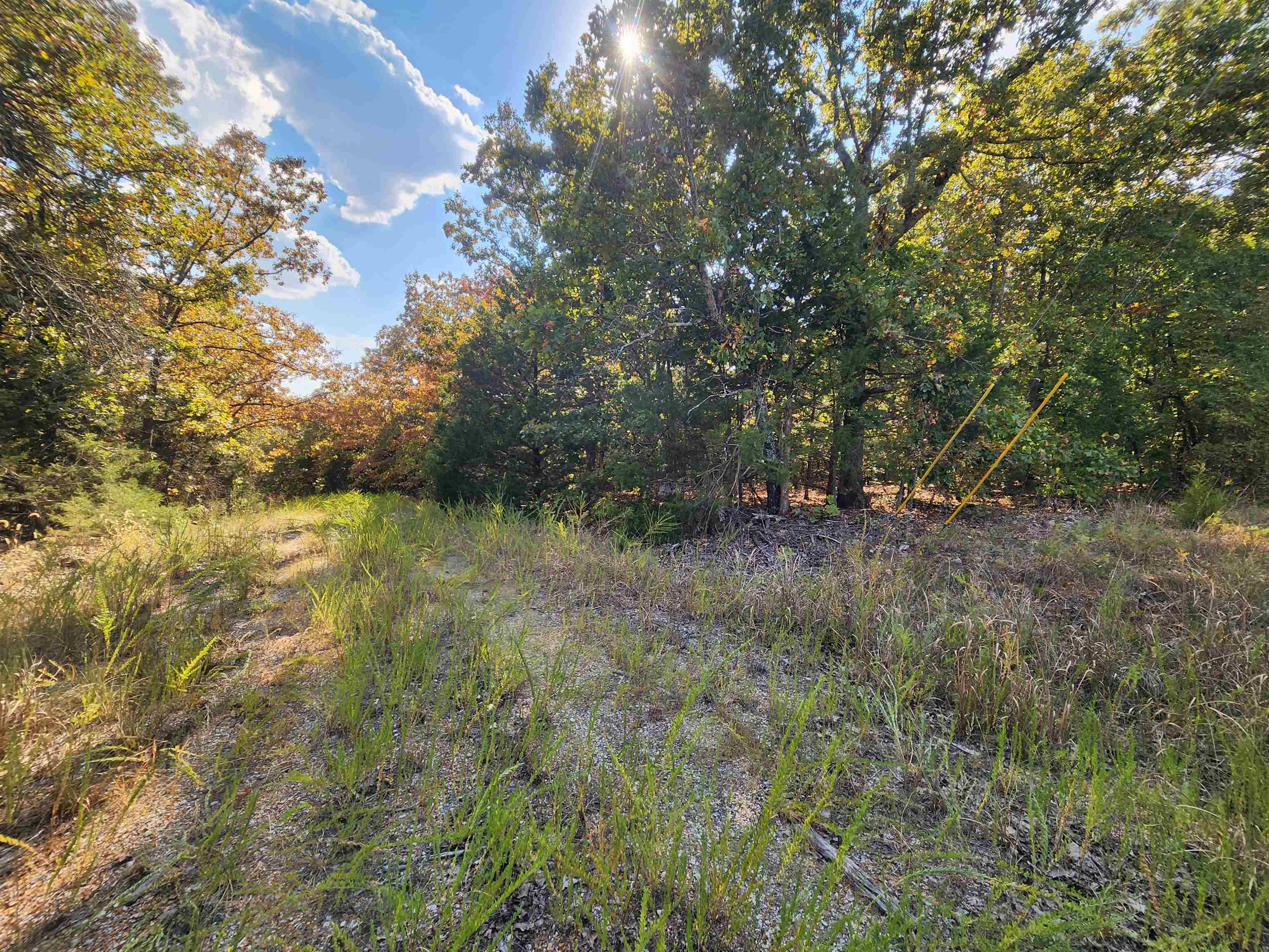 Photo 22 - Vacant Land for sale – L16B5  Colonino   Cherokee Village, AR