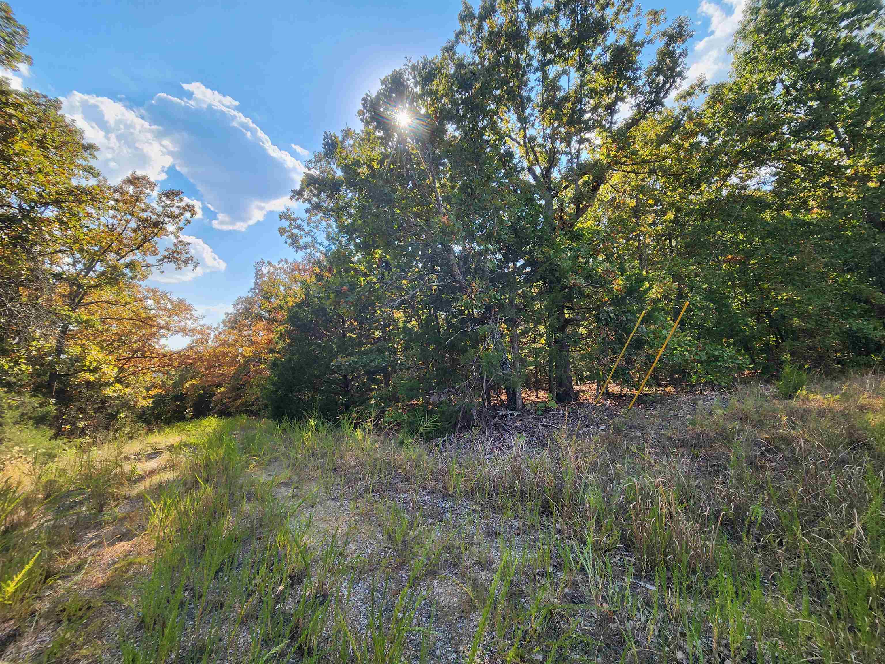 Photo 23 - Vacant Land for sale – L16B5  Colonino   Cherokee Village, AR