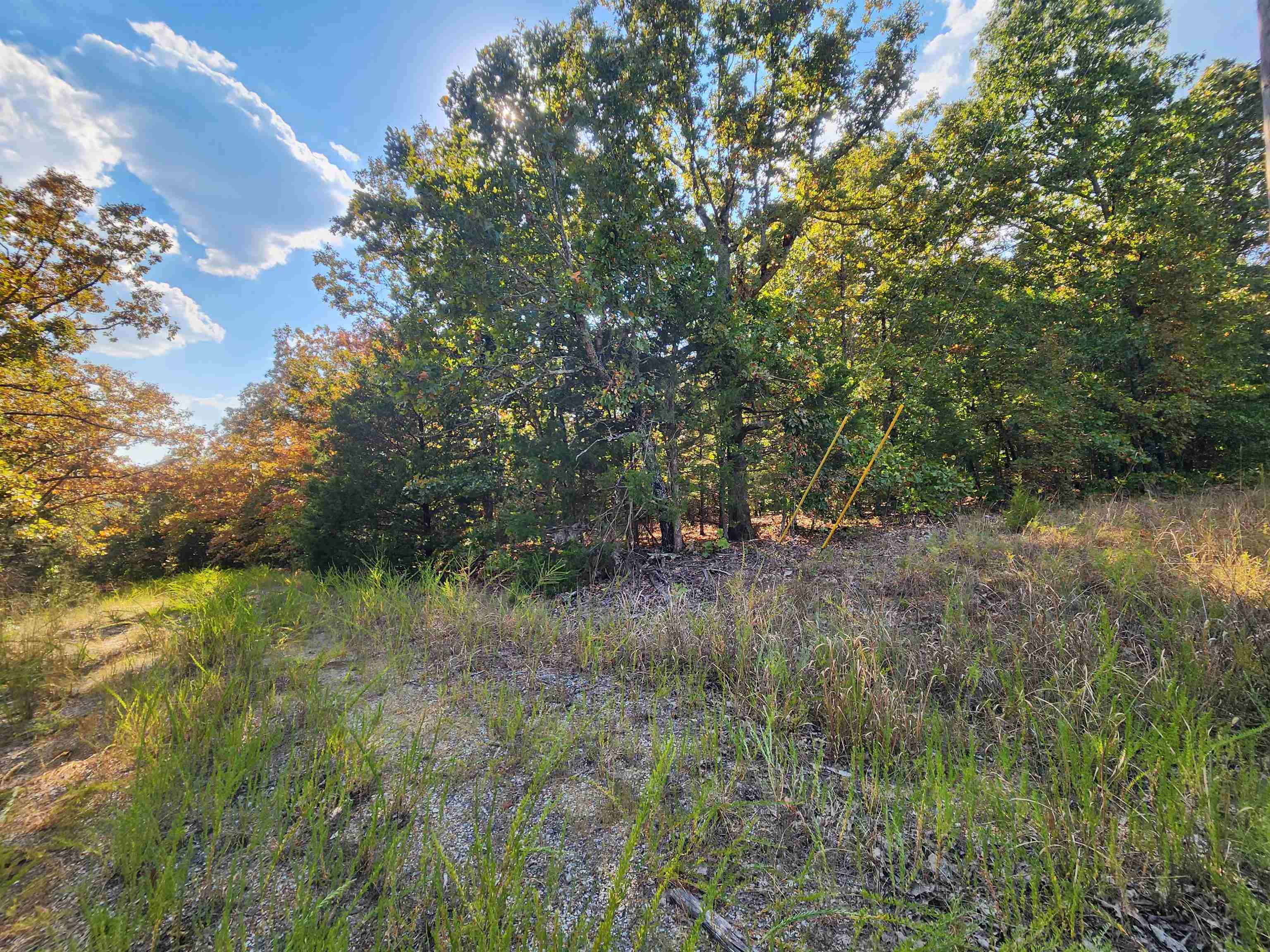 Photo 24 - Vacant Land for sale – L16B5  Colonino   Cherokee Village, AR