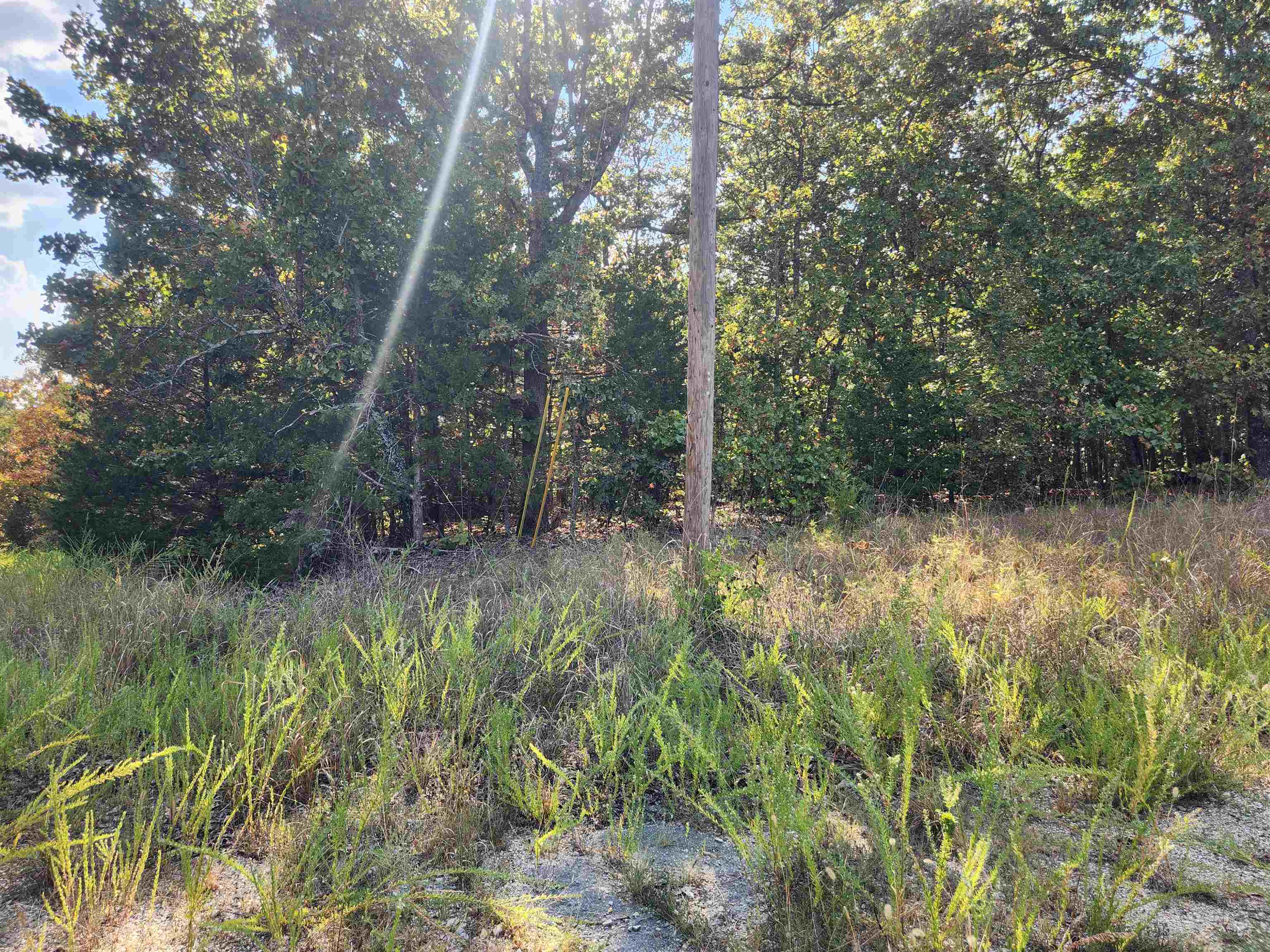 Photo 4 - Vacant Land for sale – L16B5  Colonino   Cherokee Village, AR