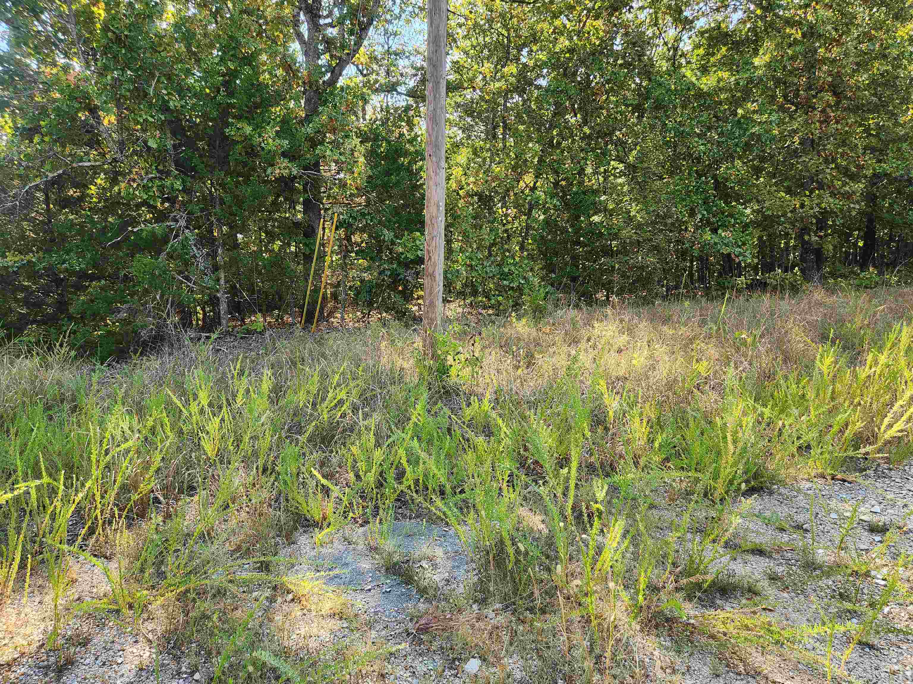 Photo 5 - Vacant Land for sale – L16B5  Colonino   Cherokee Village, AR