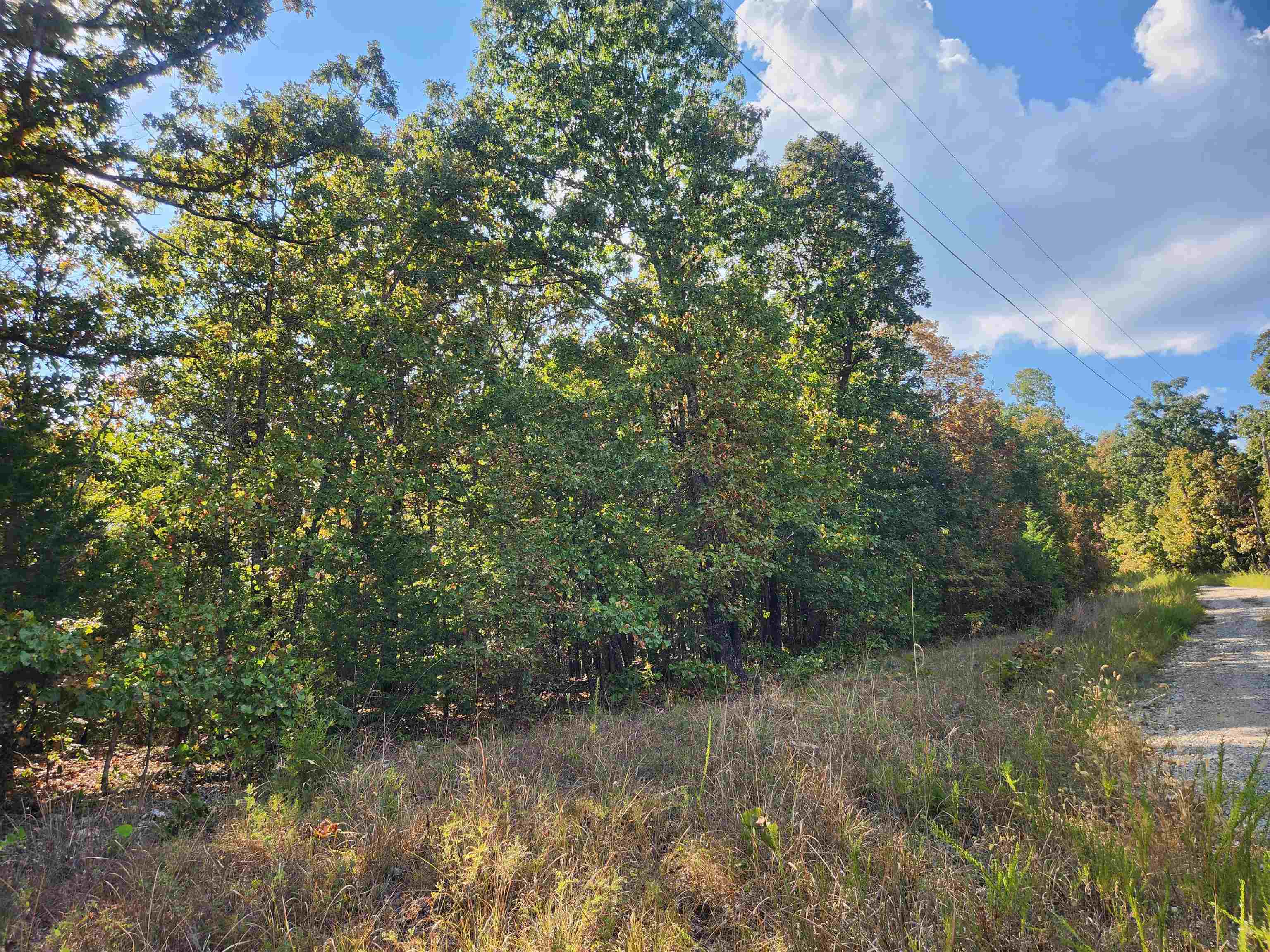 Photo 6 - Vacant Land for sale – L16B5  Colonino   Cherokee Village, AR