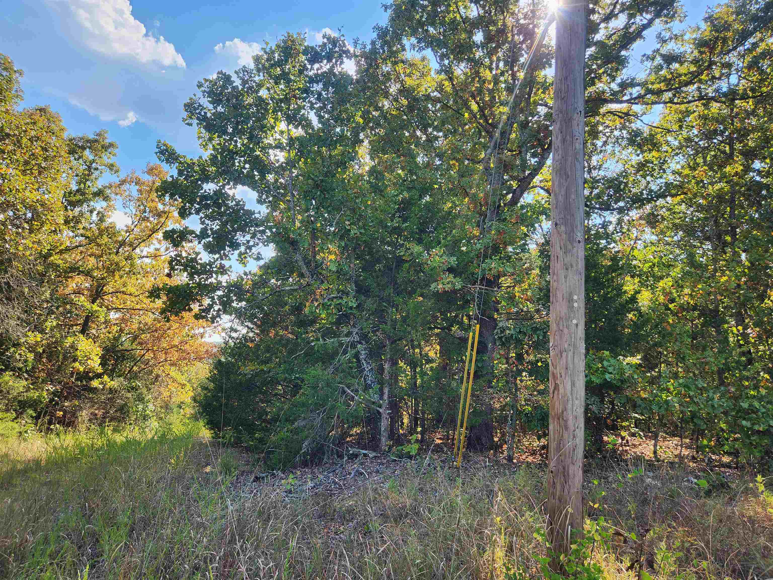 Photo 7 - Vacant Land for sale – L16B5  Colonino   Cherokee Village, AR
