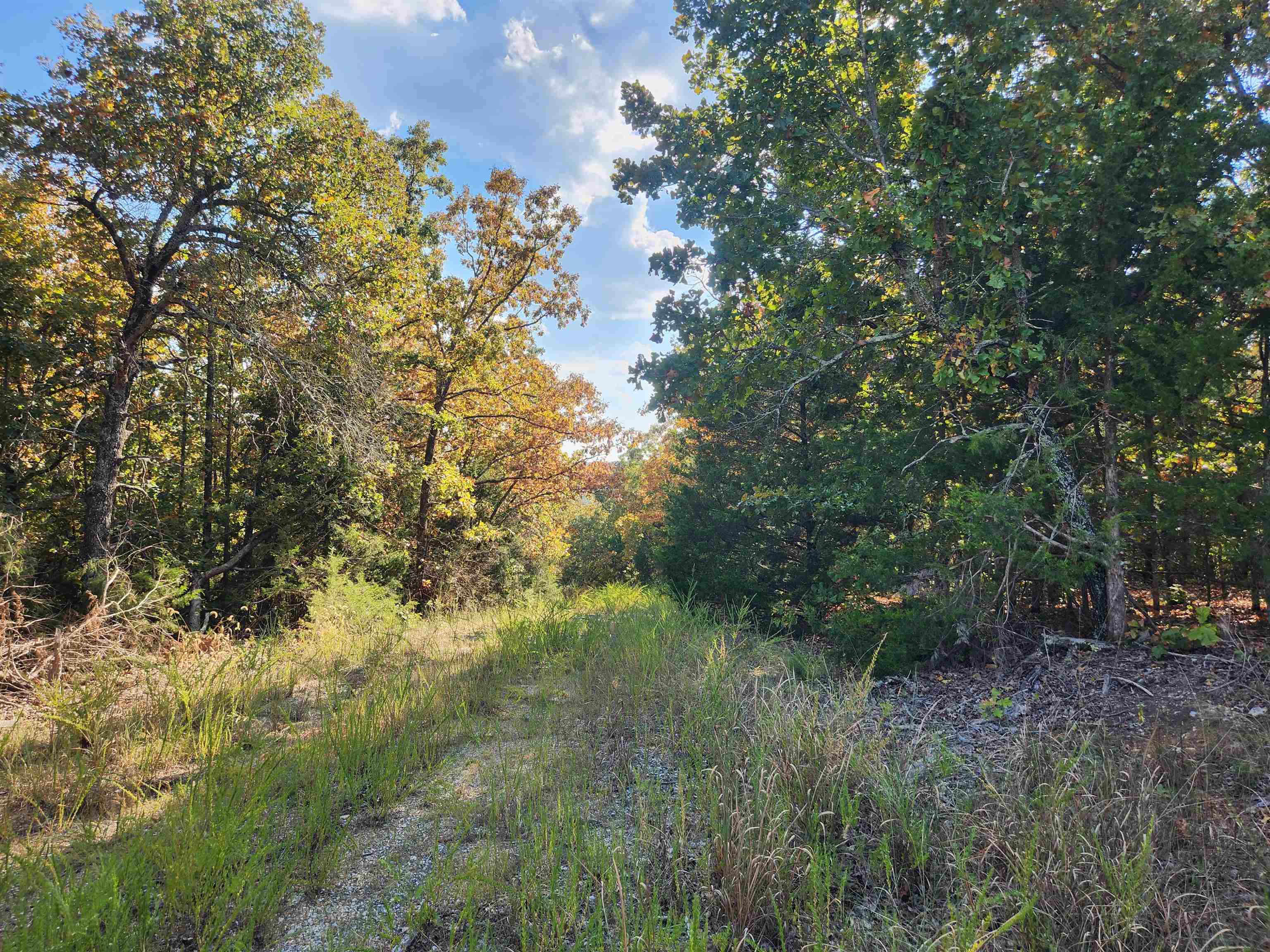 Photo 8 - Vacant Land for sale – L16B5  Colonino   Cherokee Village, AR