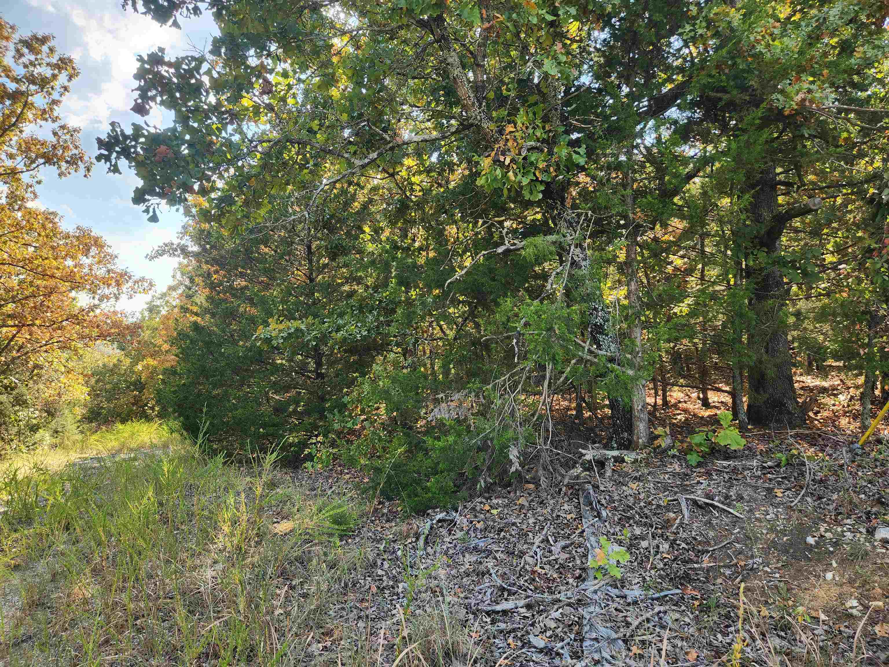 Photo 9 - Vacant Land for sale – L16B5  Colonino   Cherokee Village, AR