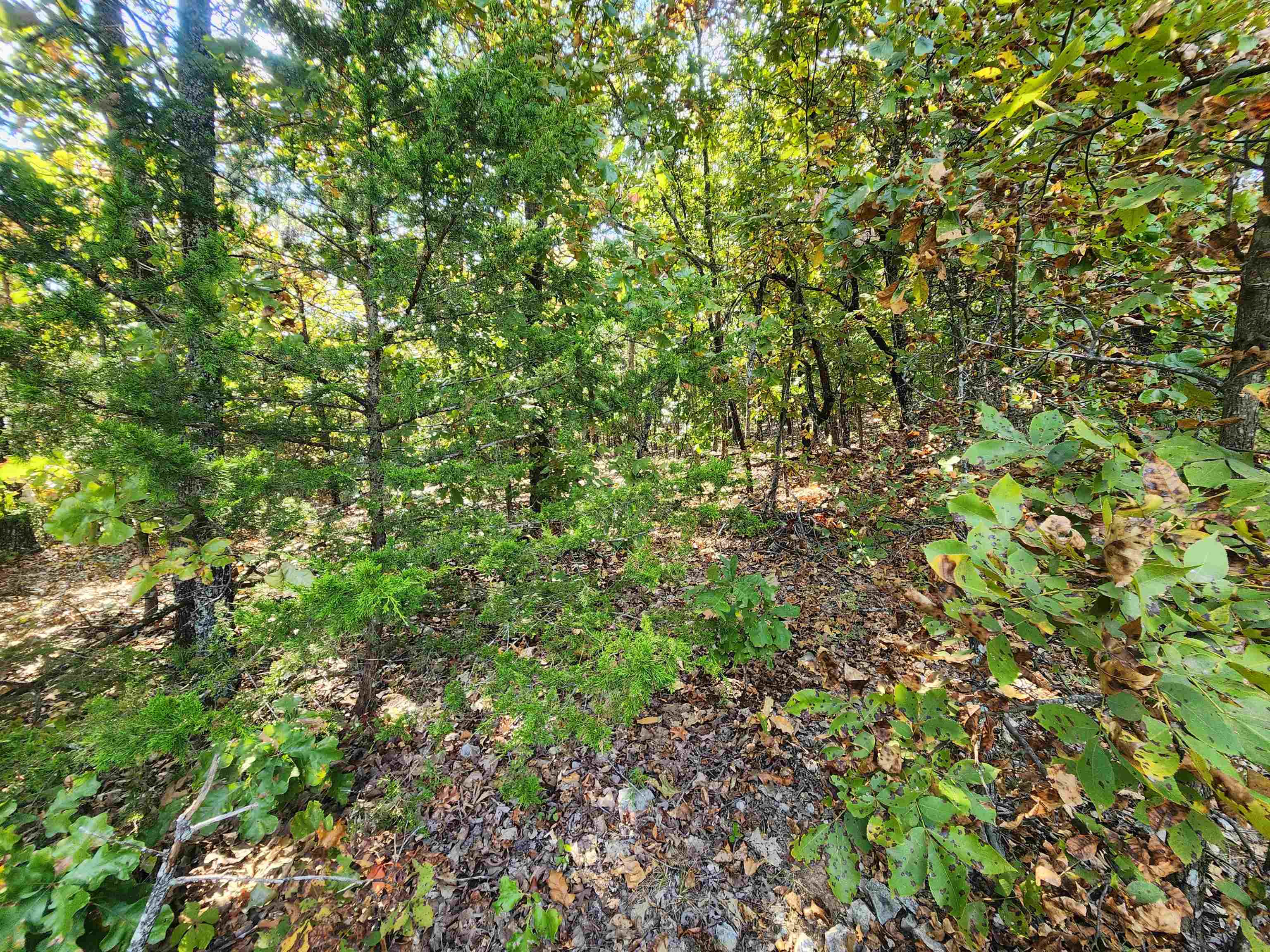 Photo 10 - Vacant Land for sale – L16B5  Colonino   Cherokee Village, AR