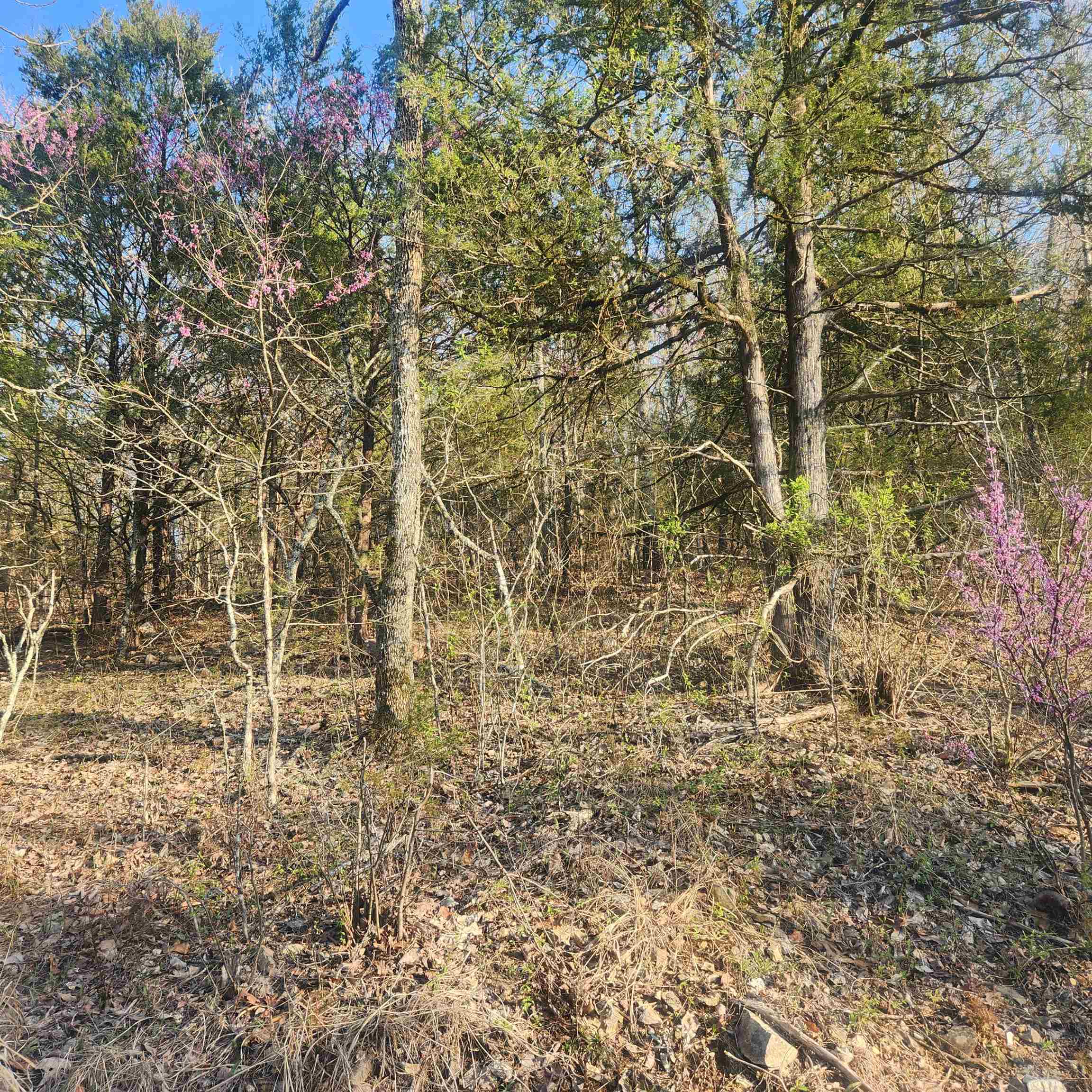 Vacant Land for sale – L-12, B-8  Choctaw   Cherokee Village, AR