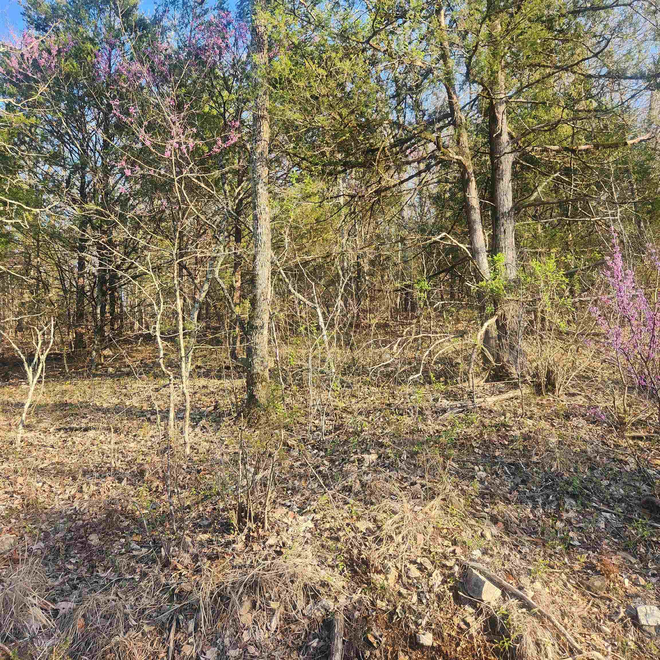 Photo 2 - Vacant Land for sale – L-12, B-8  Choctaw   Cherokee Village, AR