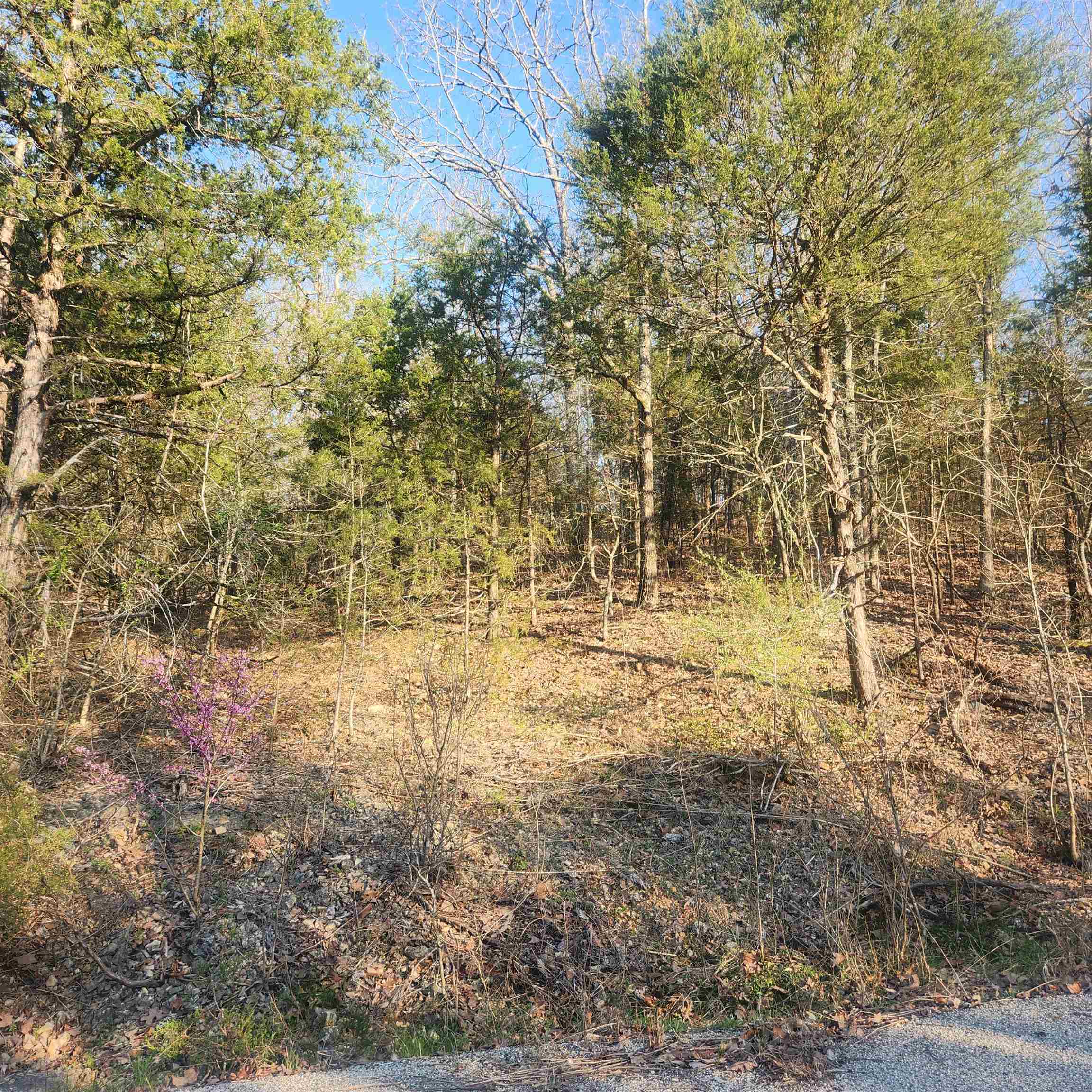 Photo 11 - Vacant Land for sale – L-12, B-8  Choctaw   Cherokee Village, AR